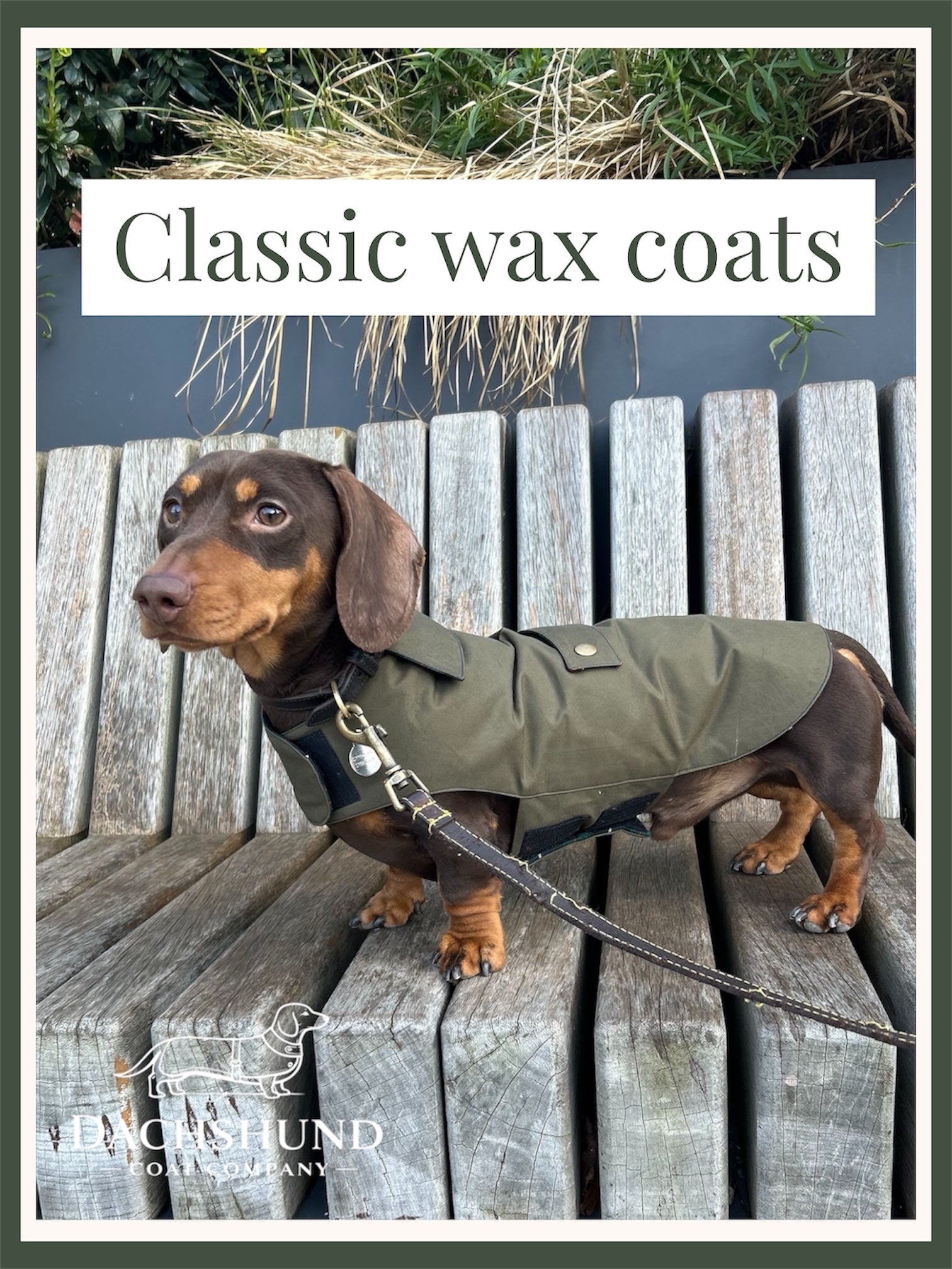 Classic Wax Dachshund Coats