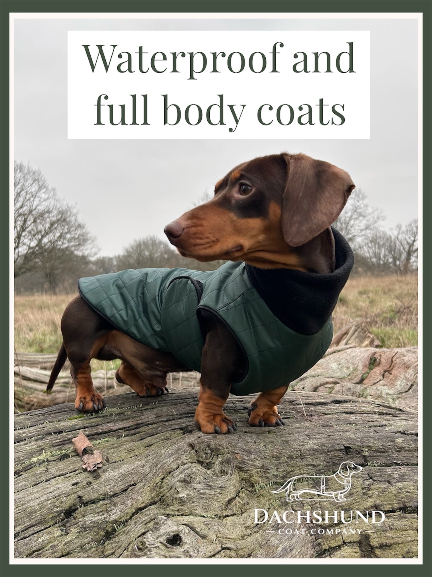 Waterproof and Full Body Coats