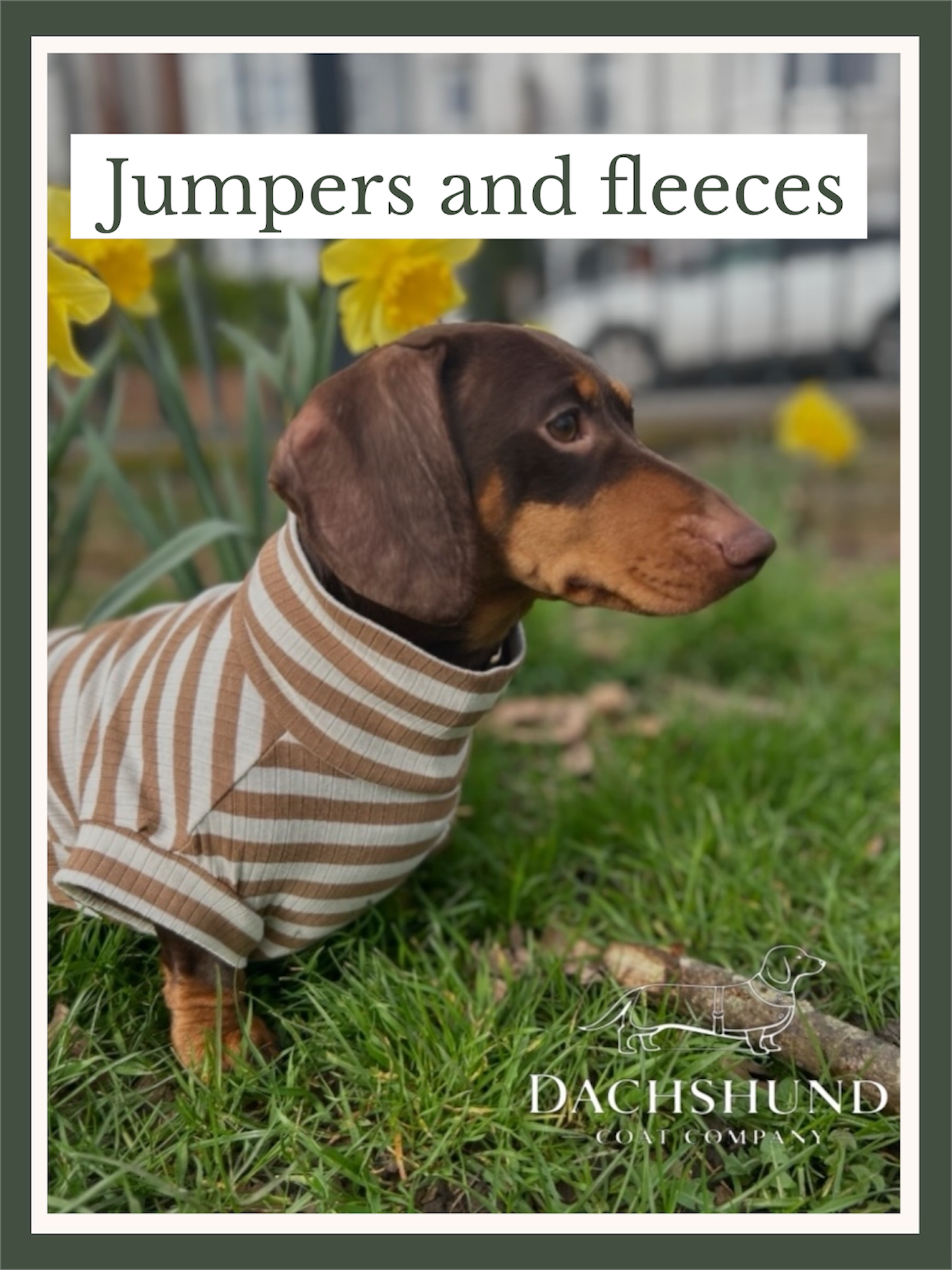 Fleeces and Jumpers