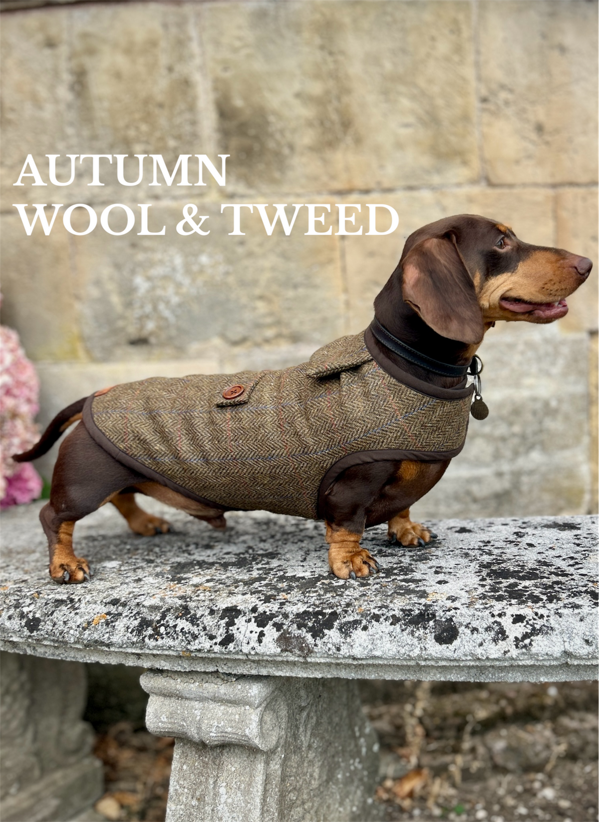 Autumn 2026 Tweed and Wool Coats
