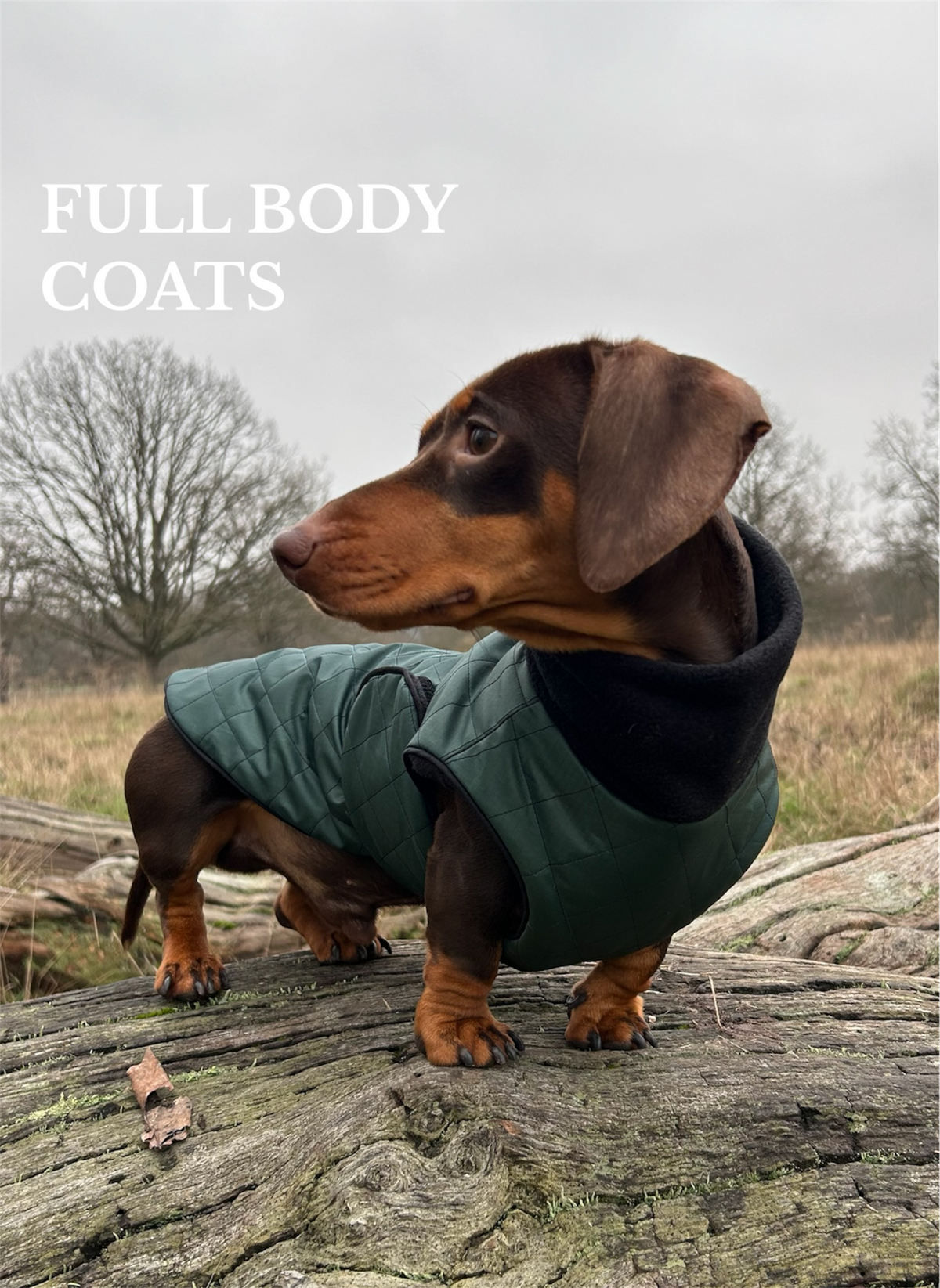 Waterproof and Full Body Coats