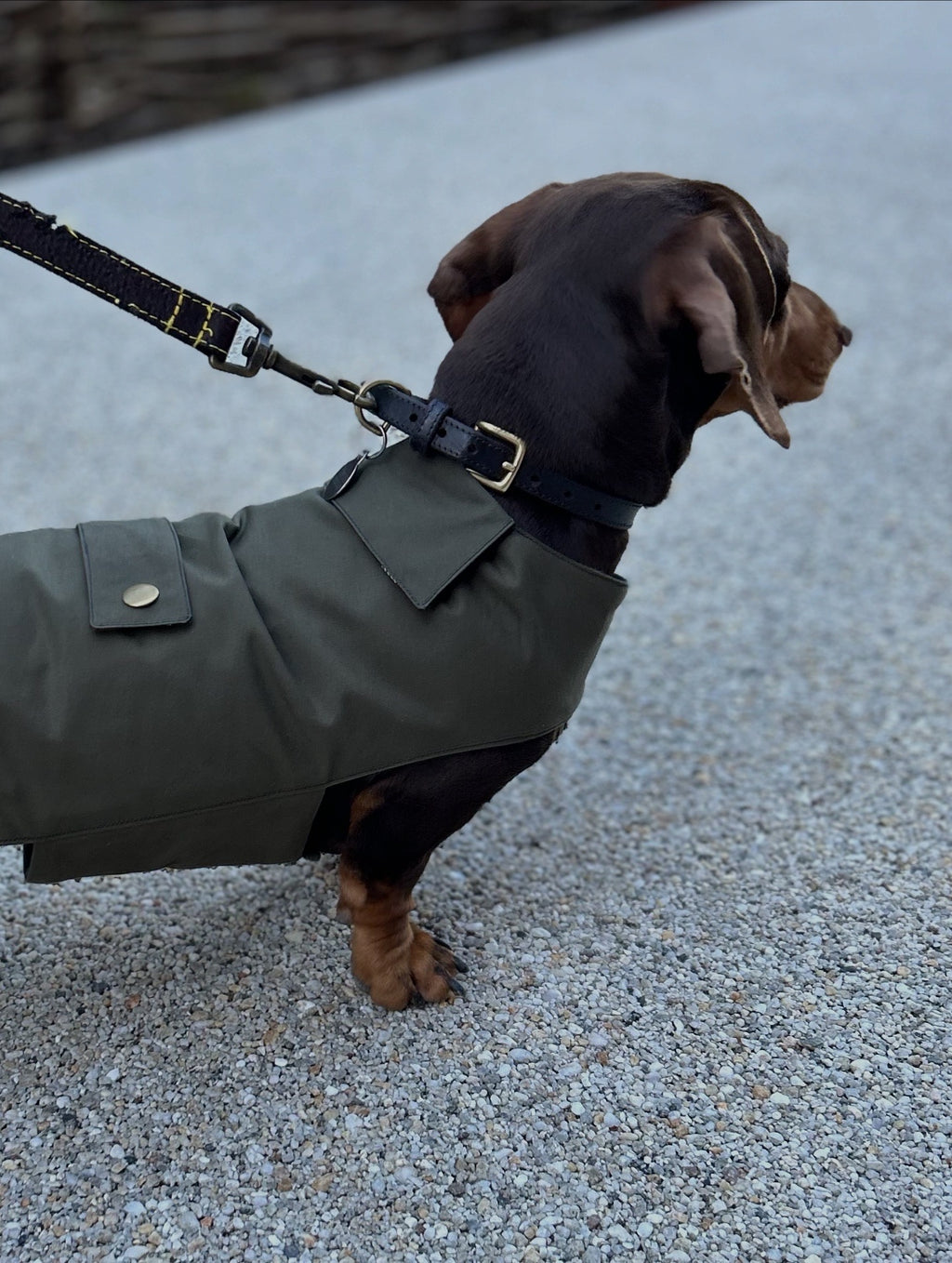Classic wax raincoat - khaki