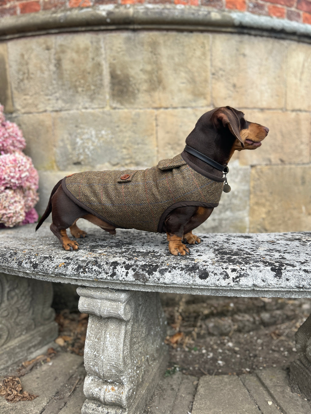 Country Herringbone Tweed Coat - Autumn '26 Collection