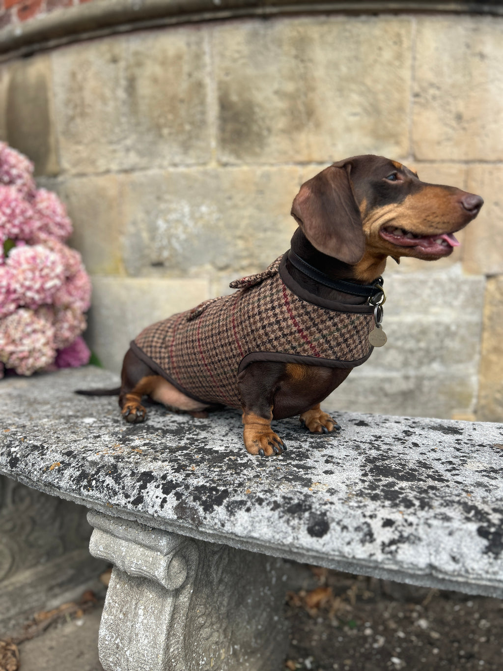 Houndstooth checked tweed Coat - Autumn '26 Collection