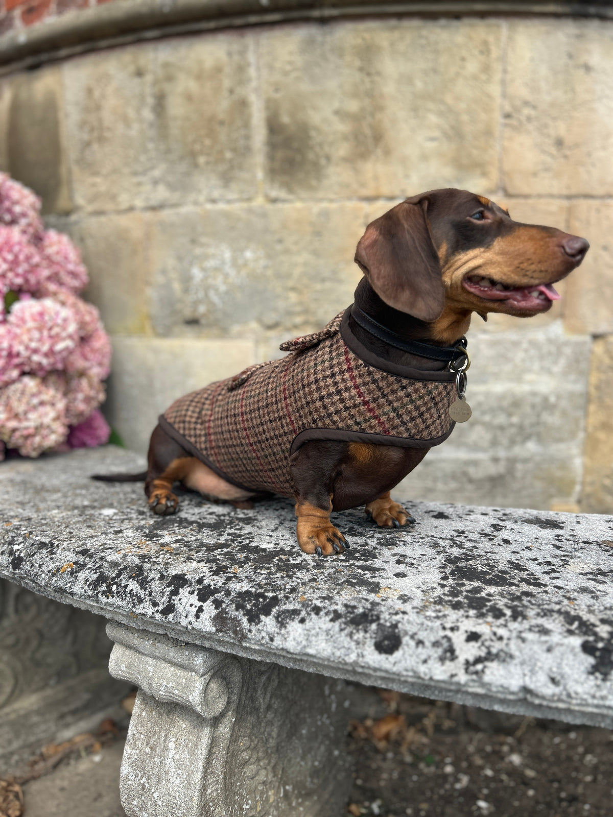 Houndstooth checked tweed Coat - Autumn '26 Collection