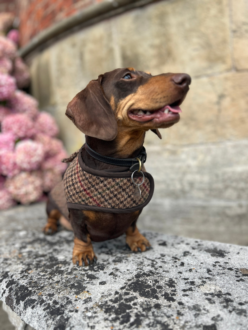 Houndstooth checked tweed Coat - Autumn '26 Collection