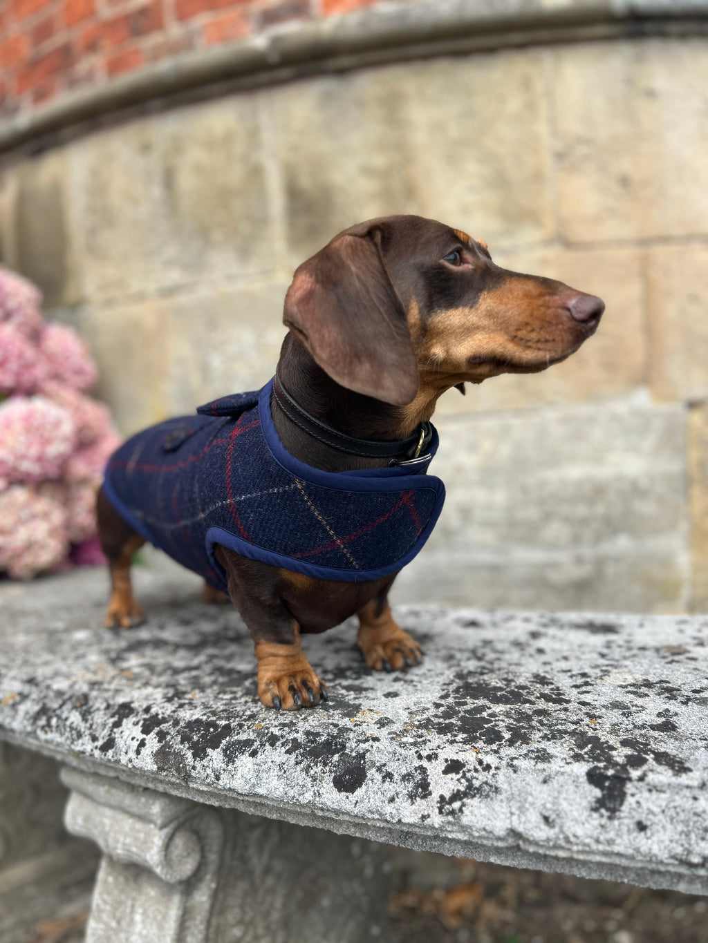 Navy Checked Wool Coat - Autumn '26 Collection