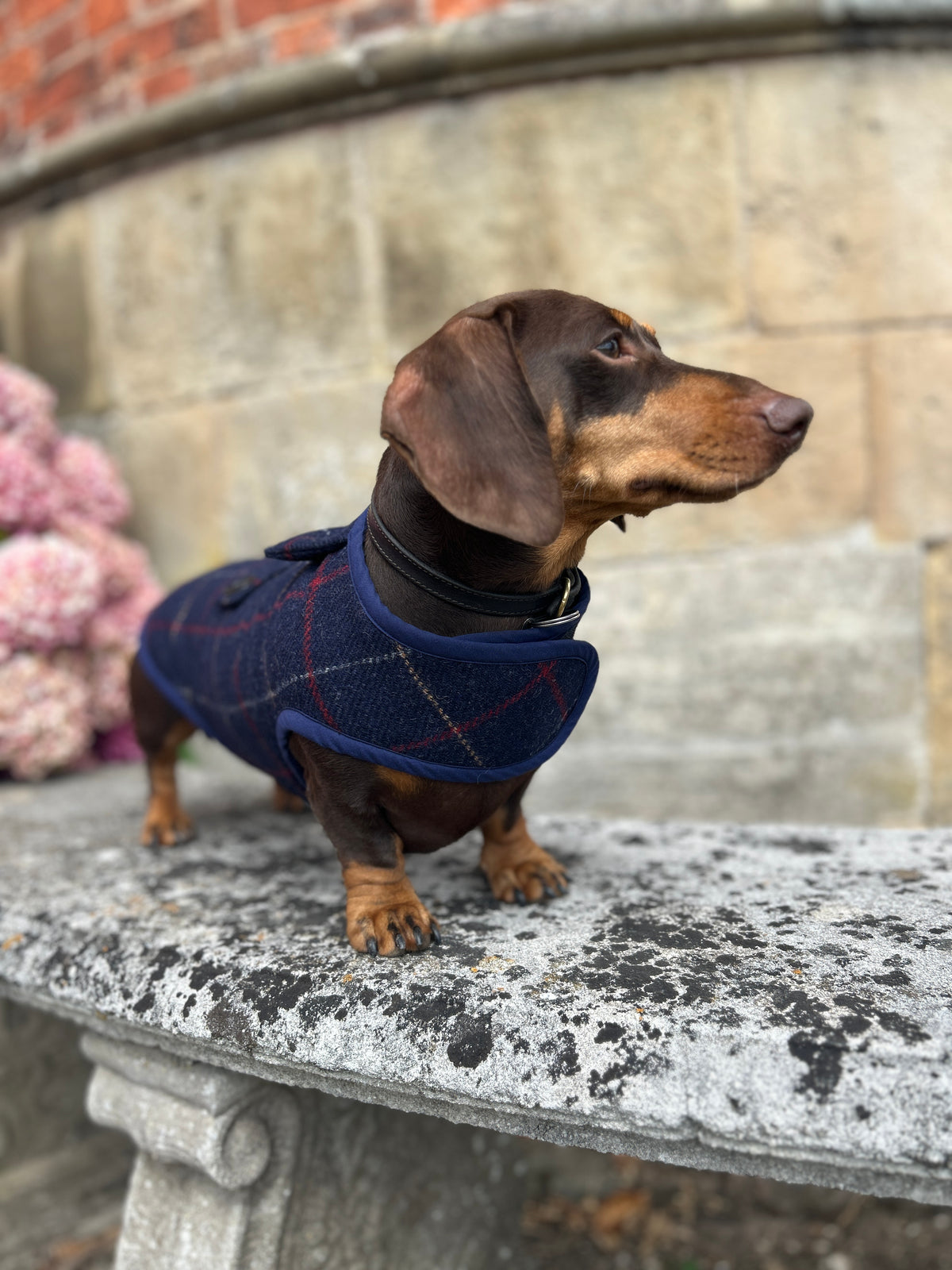Navy Checked Wool Coat - Autumn '26 Collection
