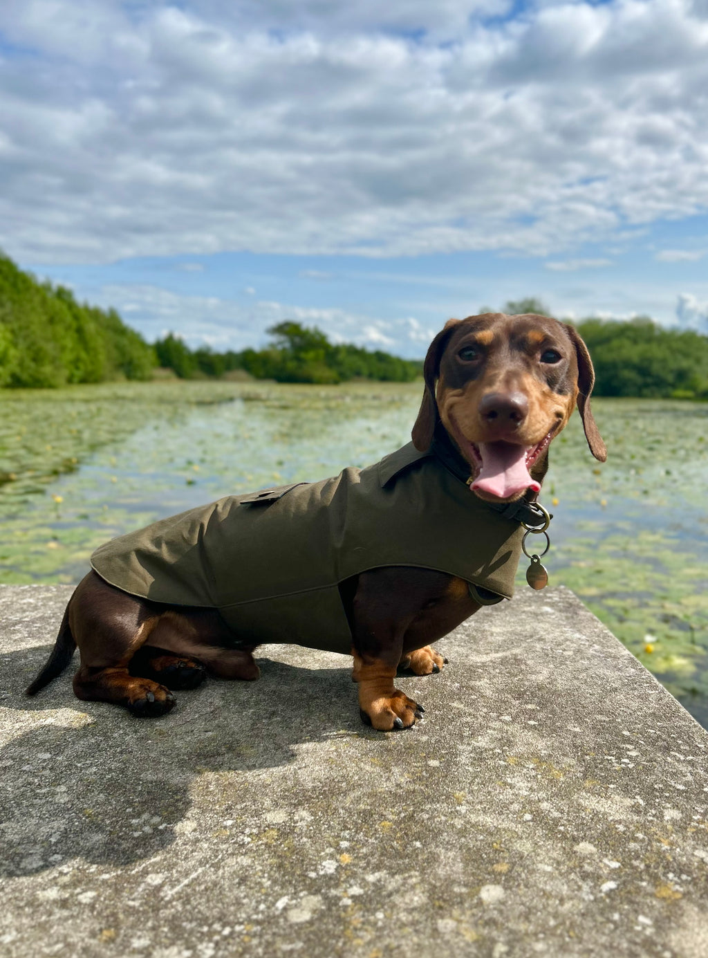 Classic wax raincoat - khaki