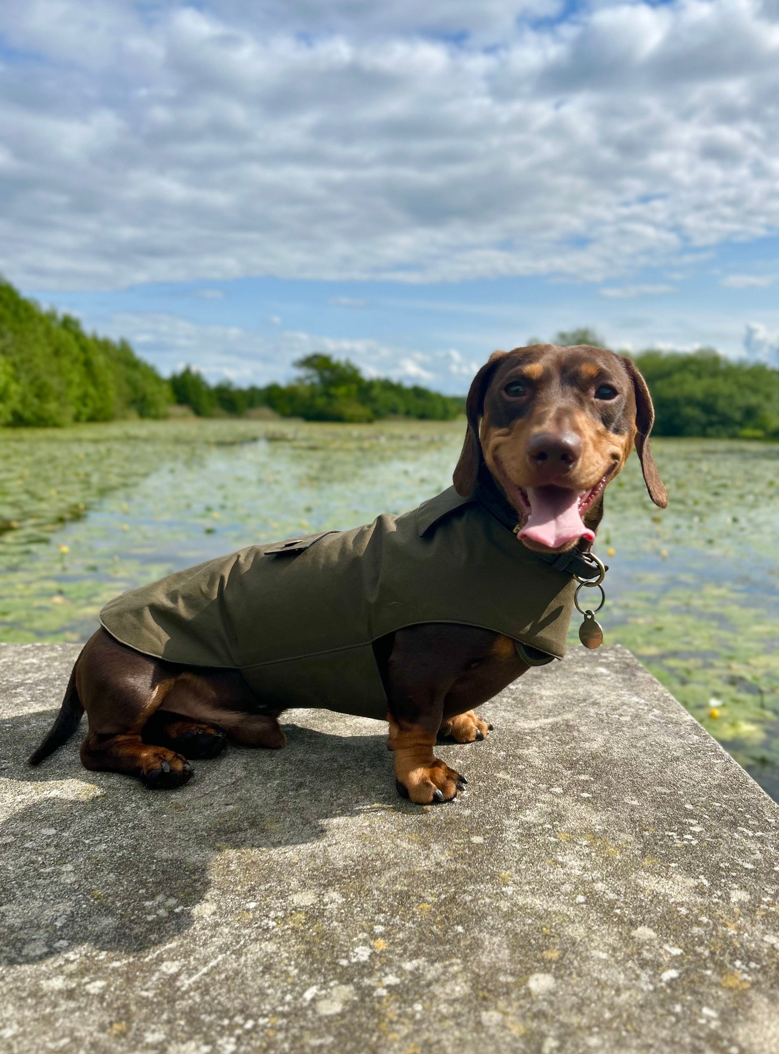 Classic wax raincoat - khaki