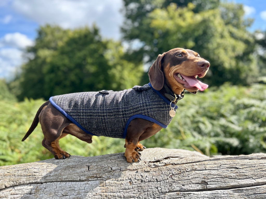 Navy check tweed coat