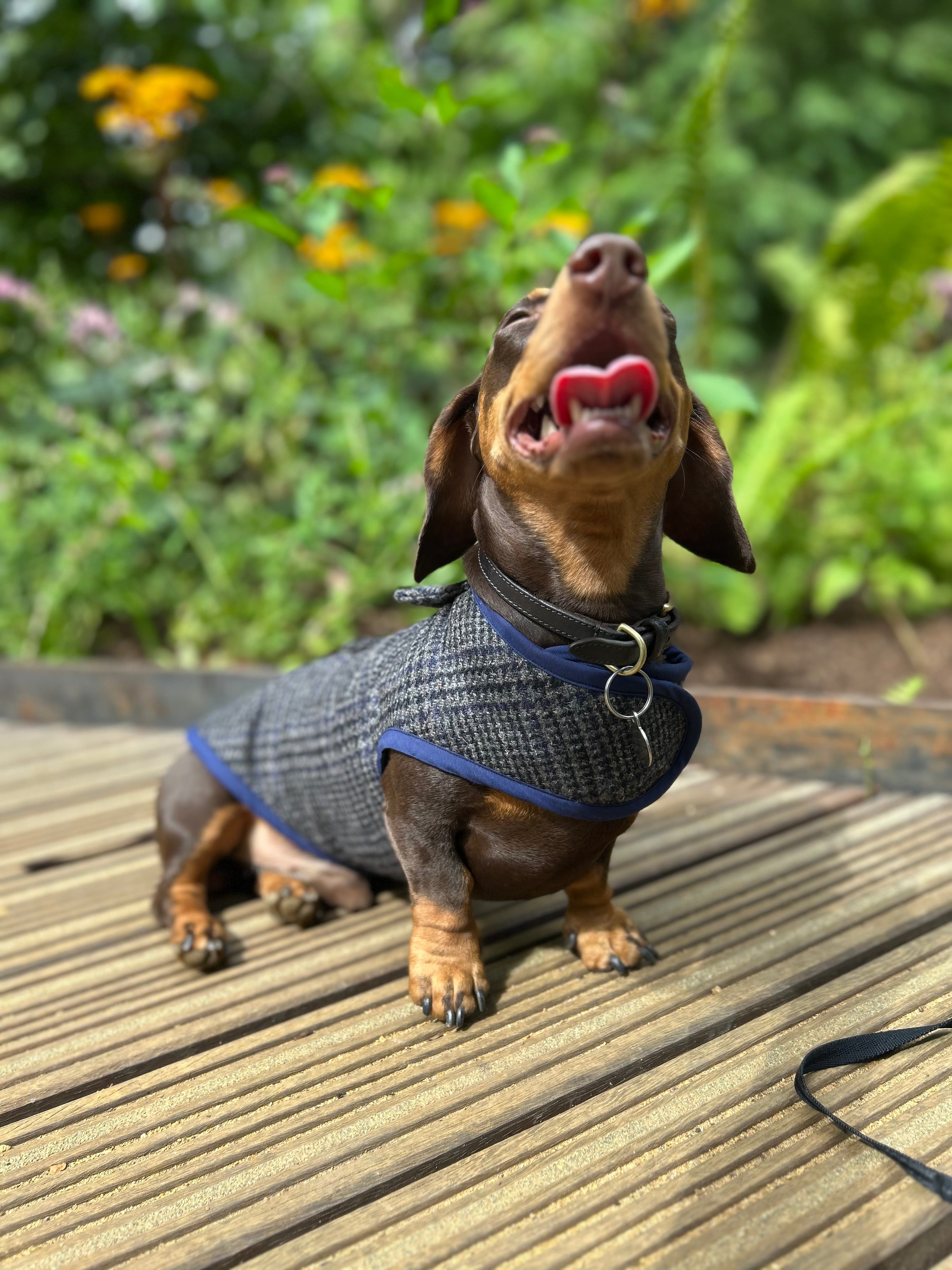 Navy check tweed coat