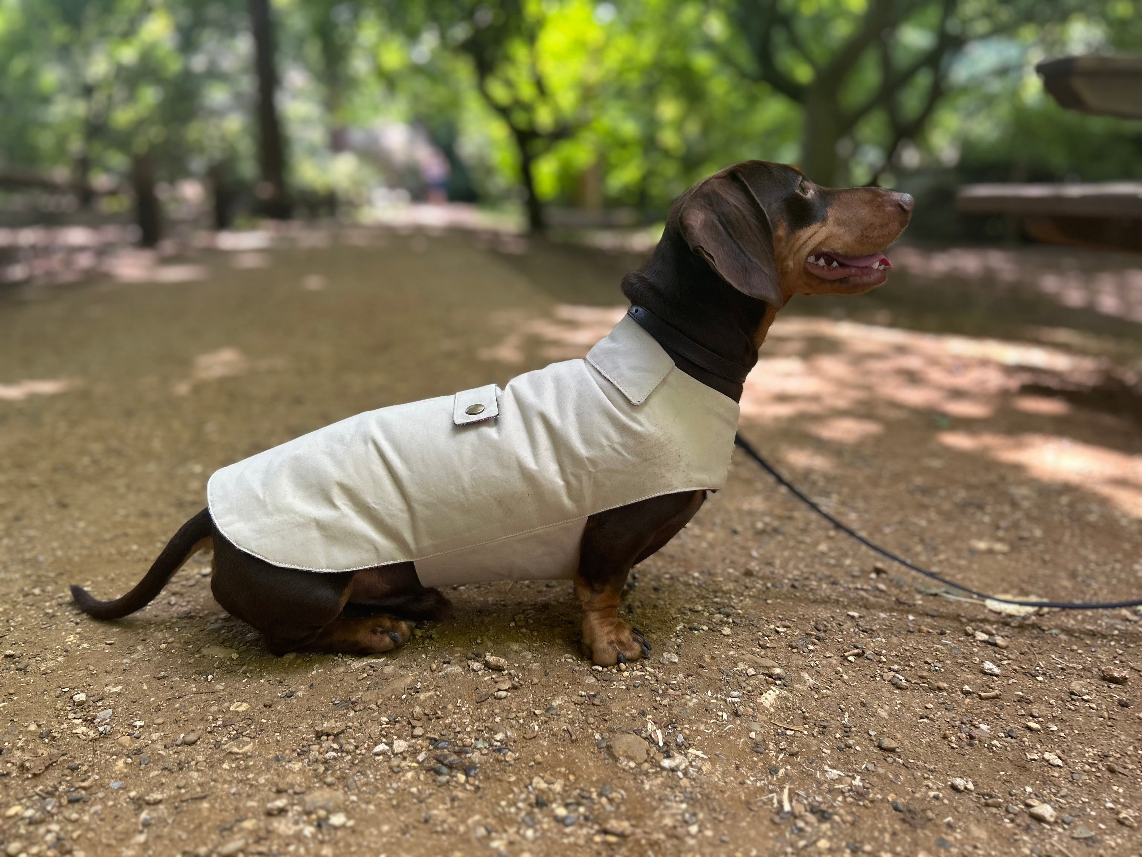 Classic wax raincoat - Cream