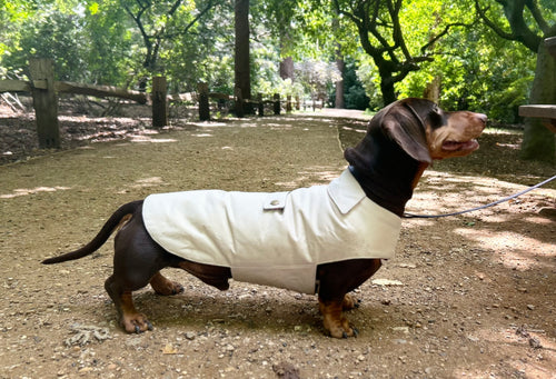 Classic wax raincoat - Cream