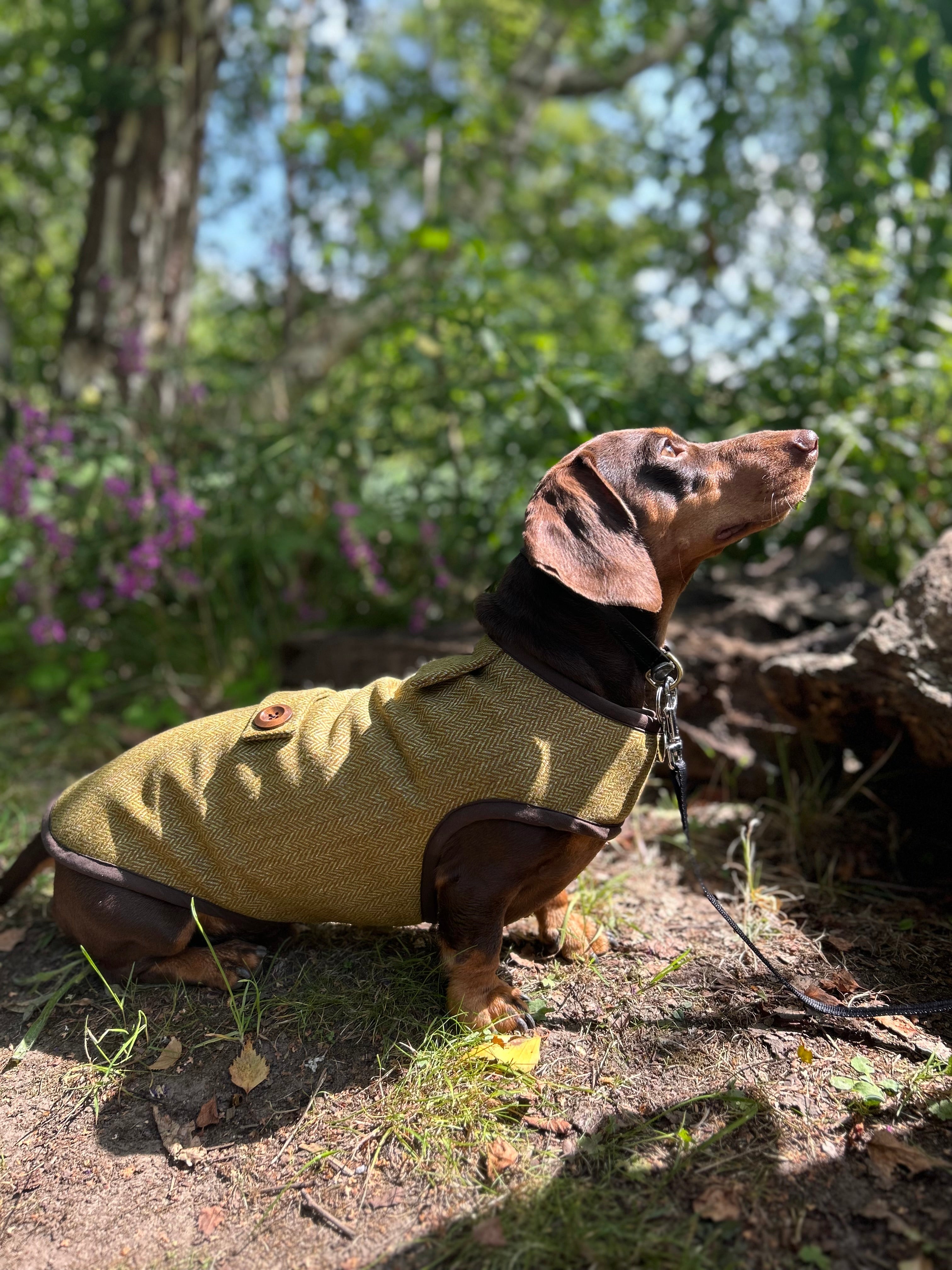 Autumn yellow herringbone tweed coat