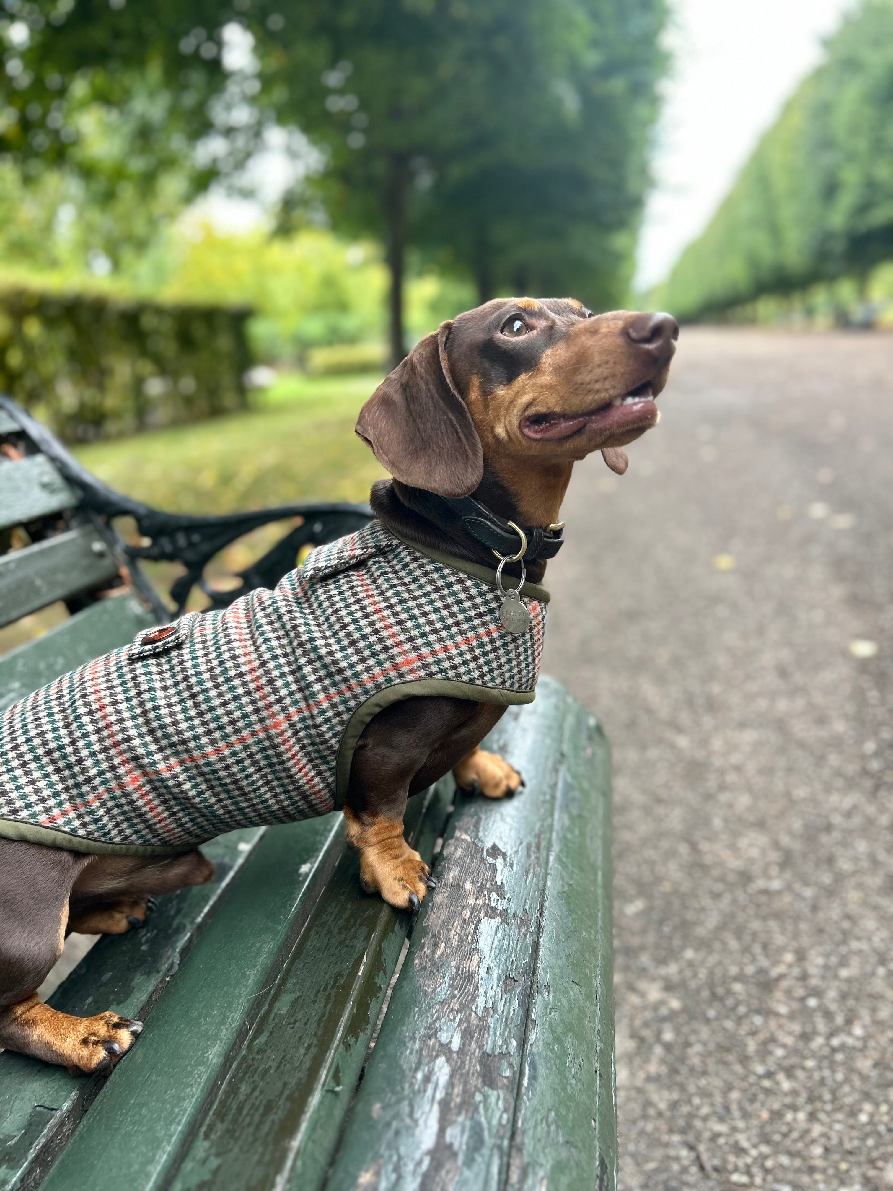 Houndstooth tweed coat
