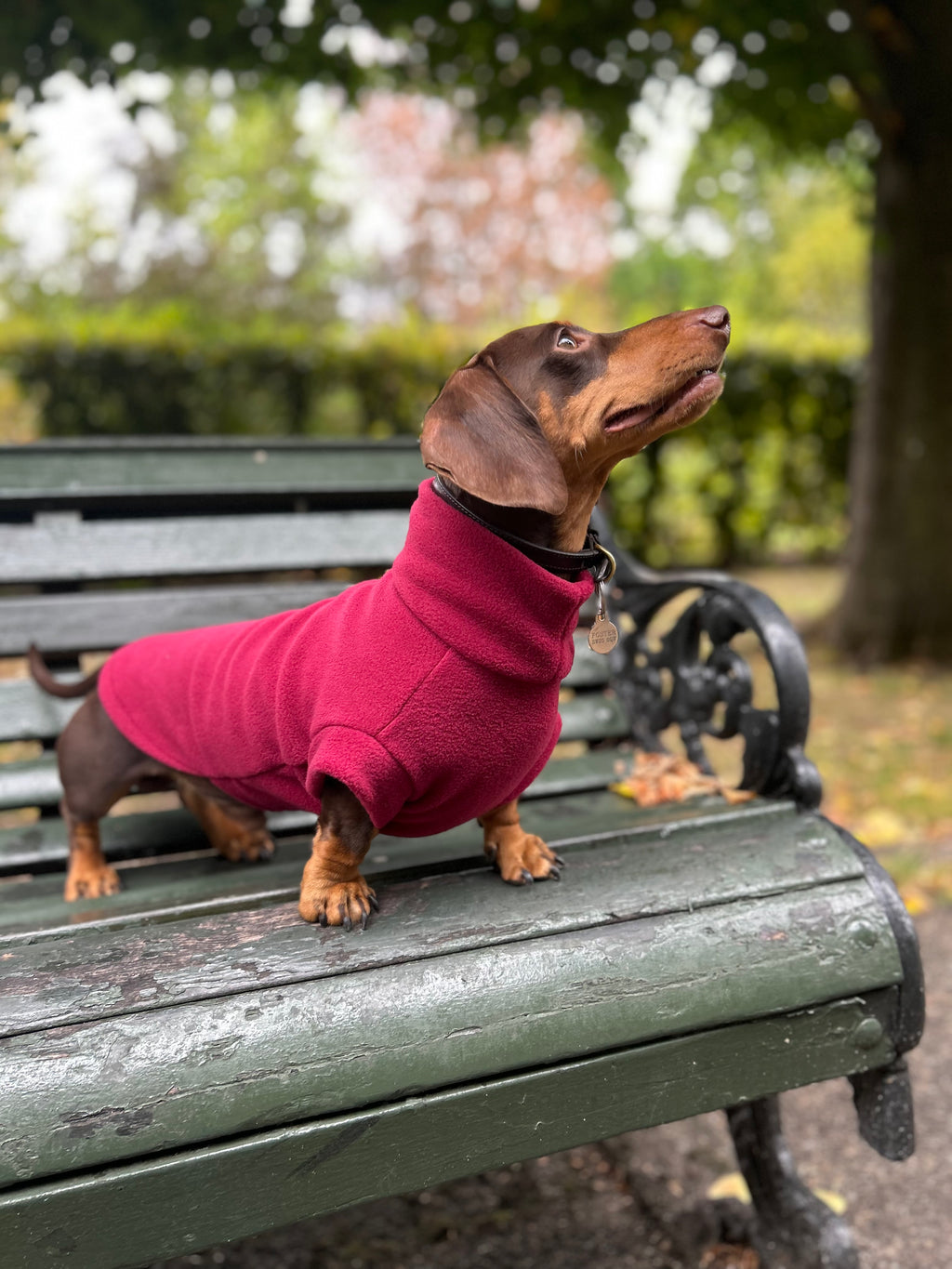 Fleece Jumper | Wine