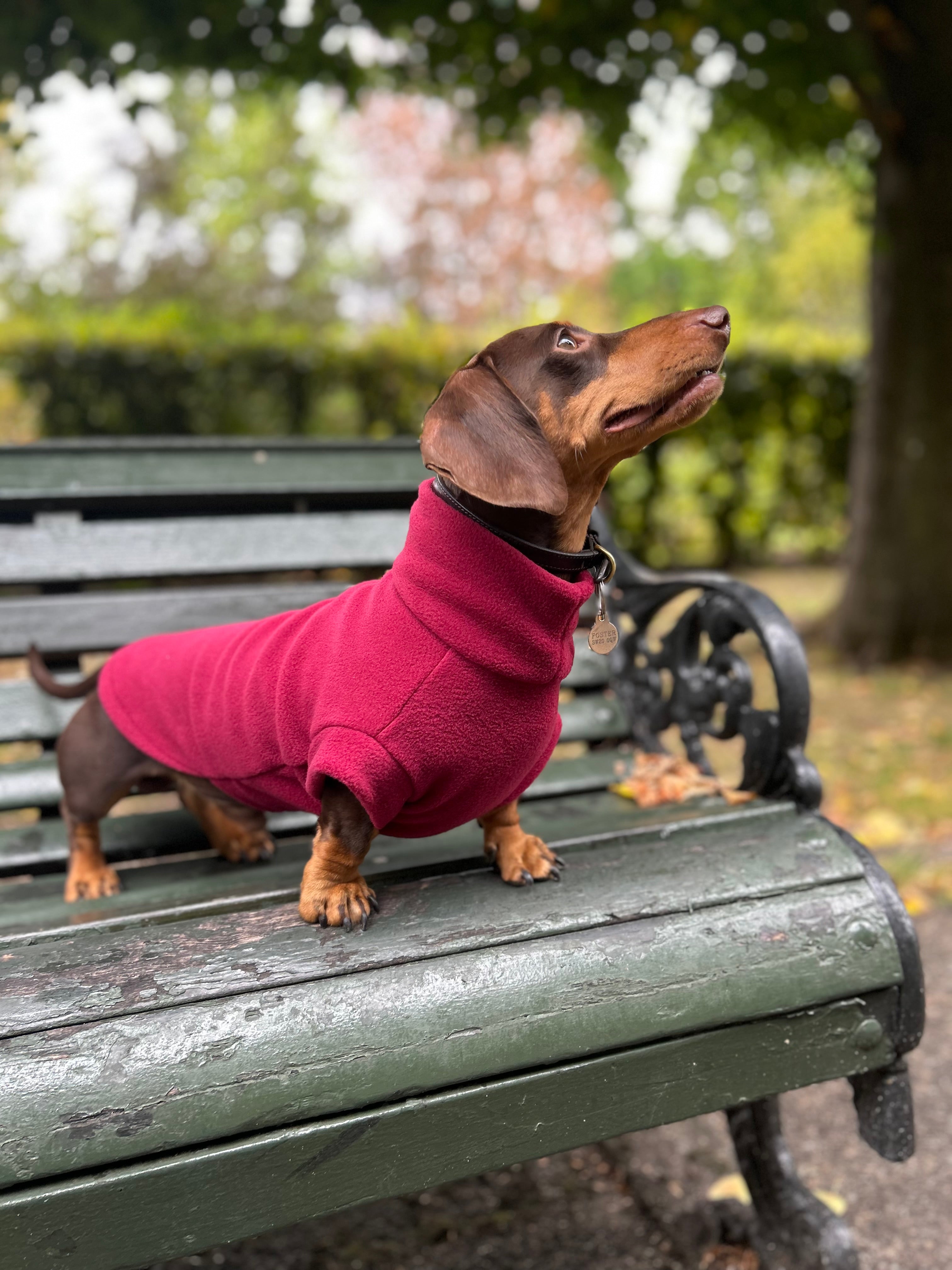 Fleece Jumper | Wine