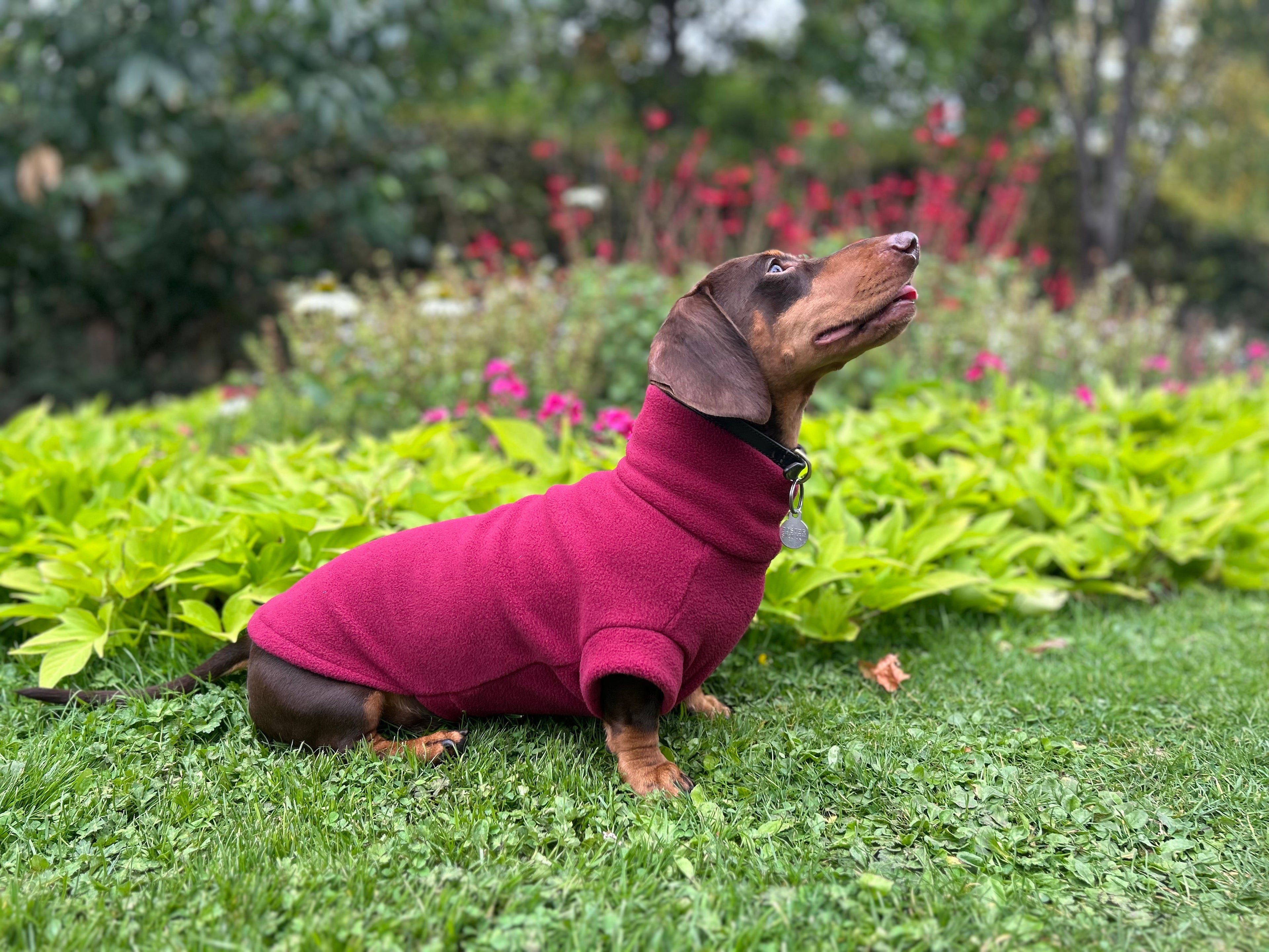 Fleece Jumper | Wine