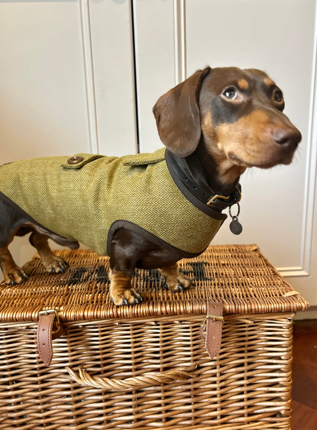 Autumn yellow herringbone tweed coat