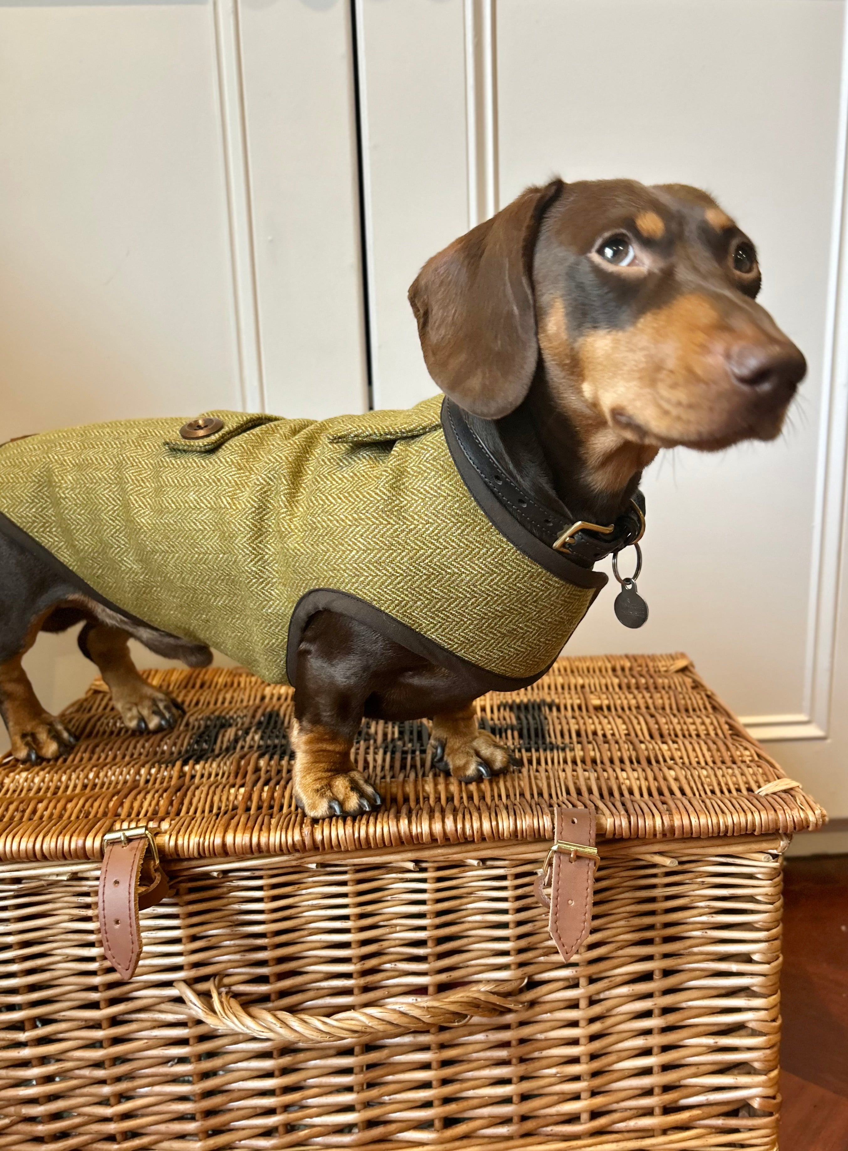 Autumn yellow herringbone tweed coat