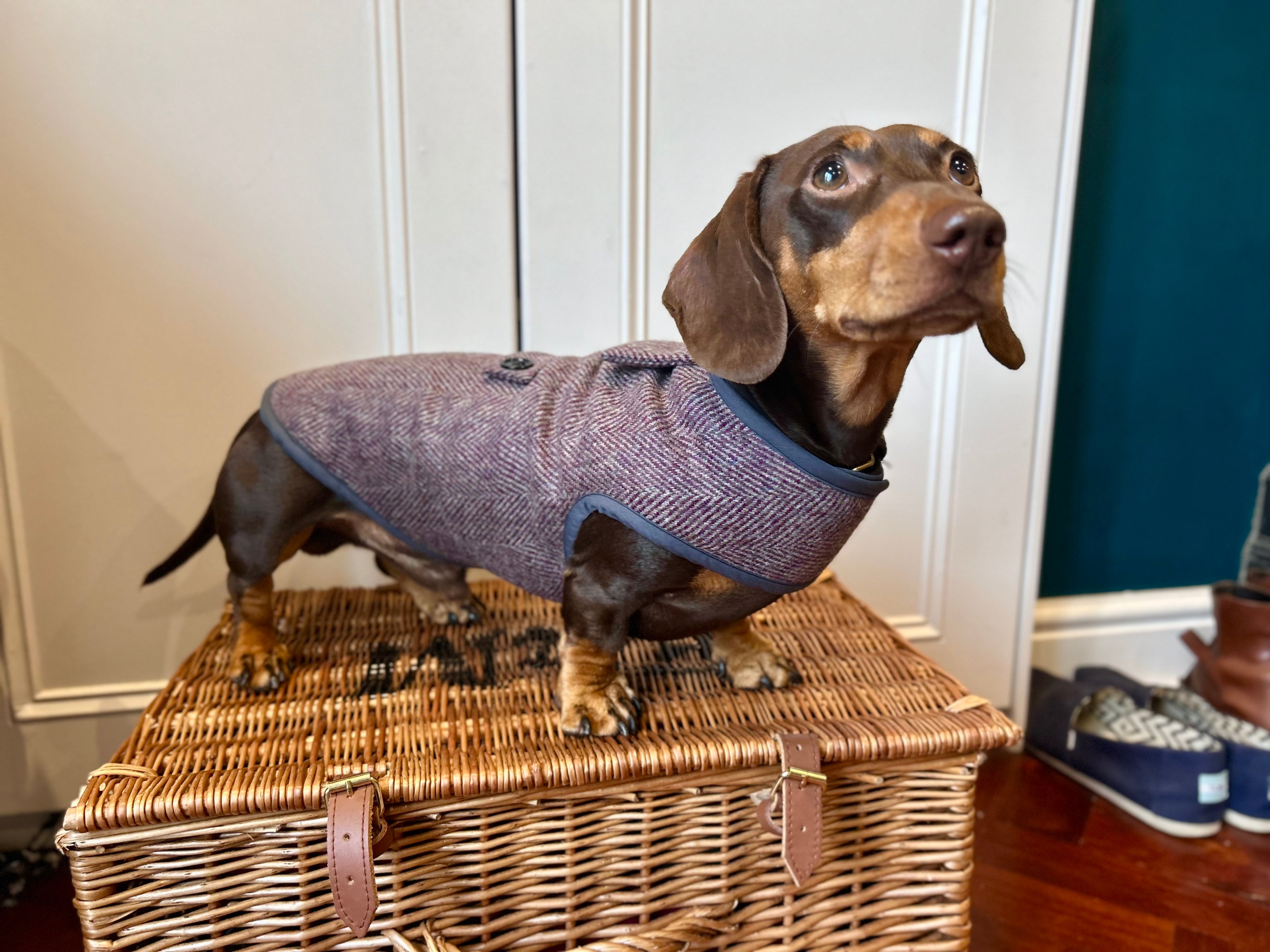 Purple Herringbone Tweed coat