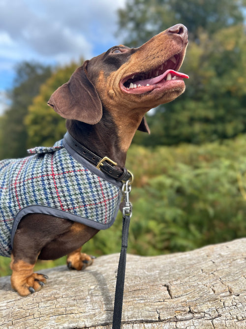 Blue/Grey/Red houndstooth tweed coat