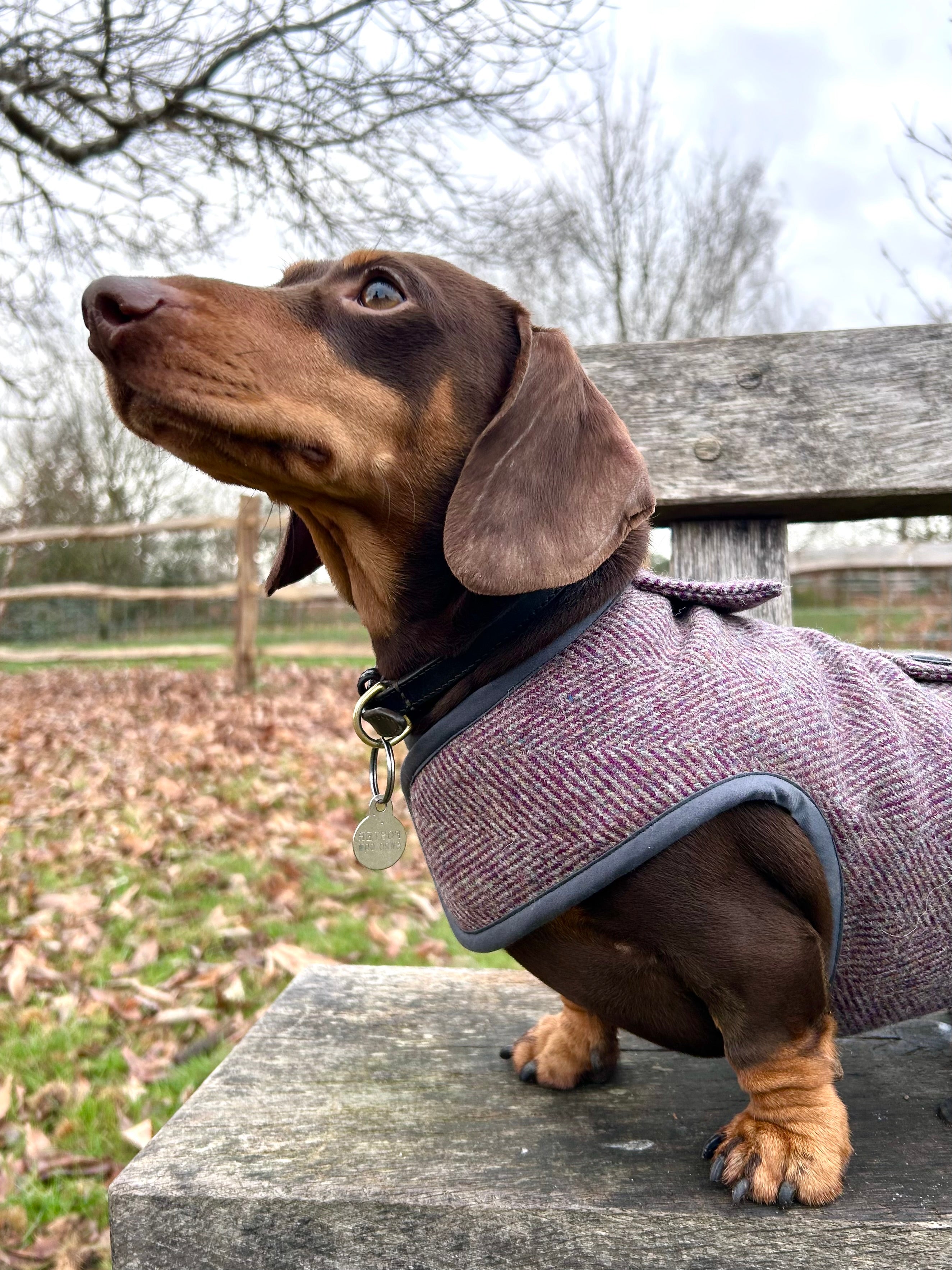 Purple Herringbone Tweed coat