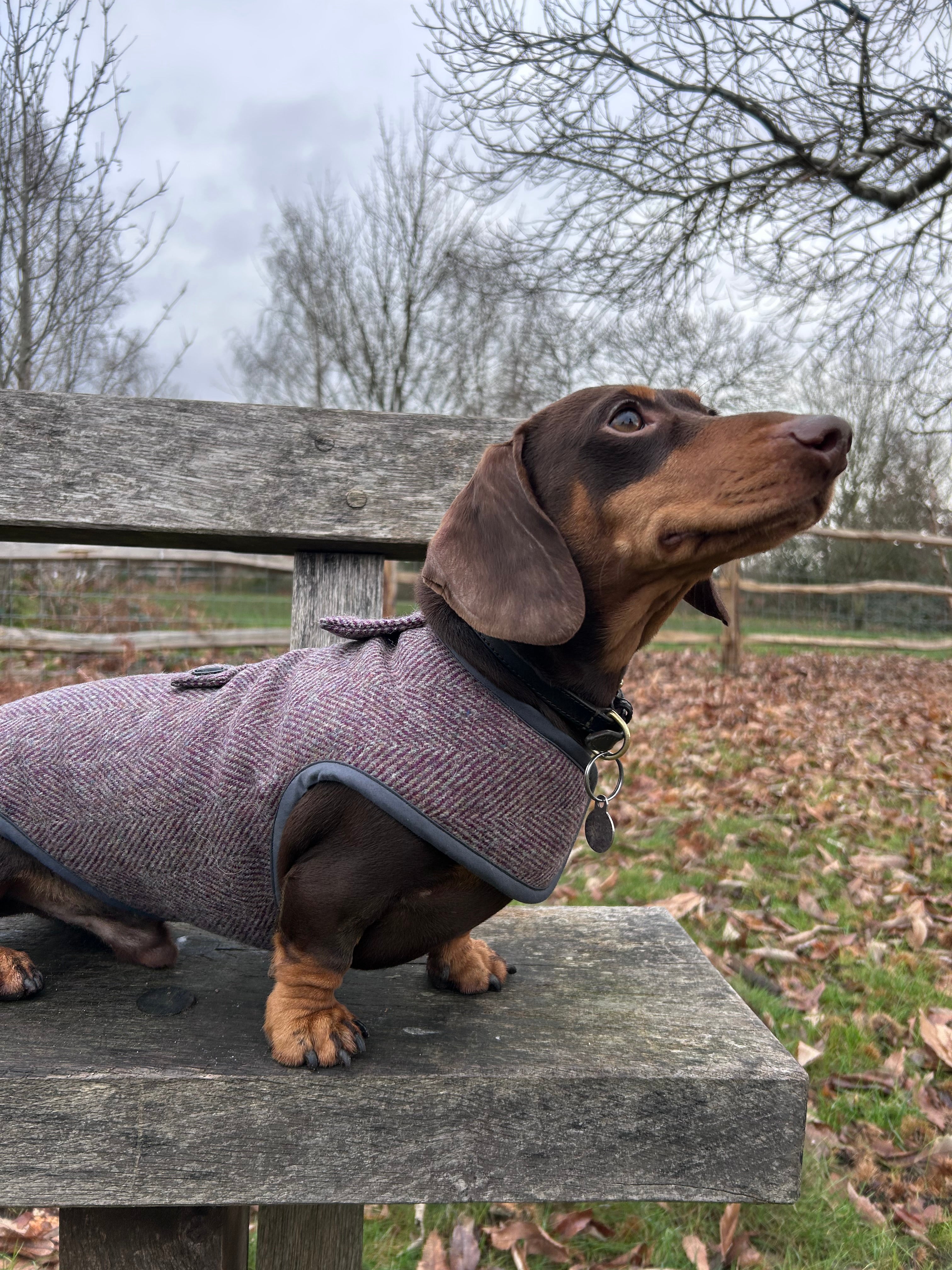 Purple Herringbone Tweed coat