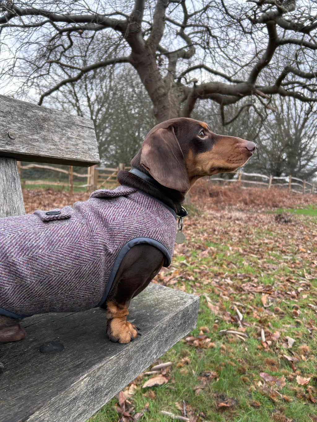 Purple Herringbone Tweed coat