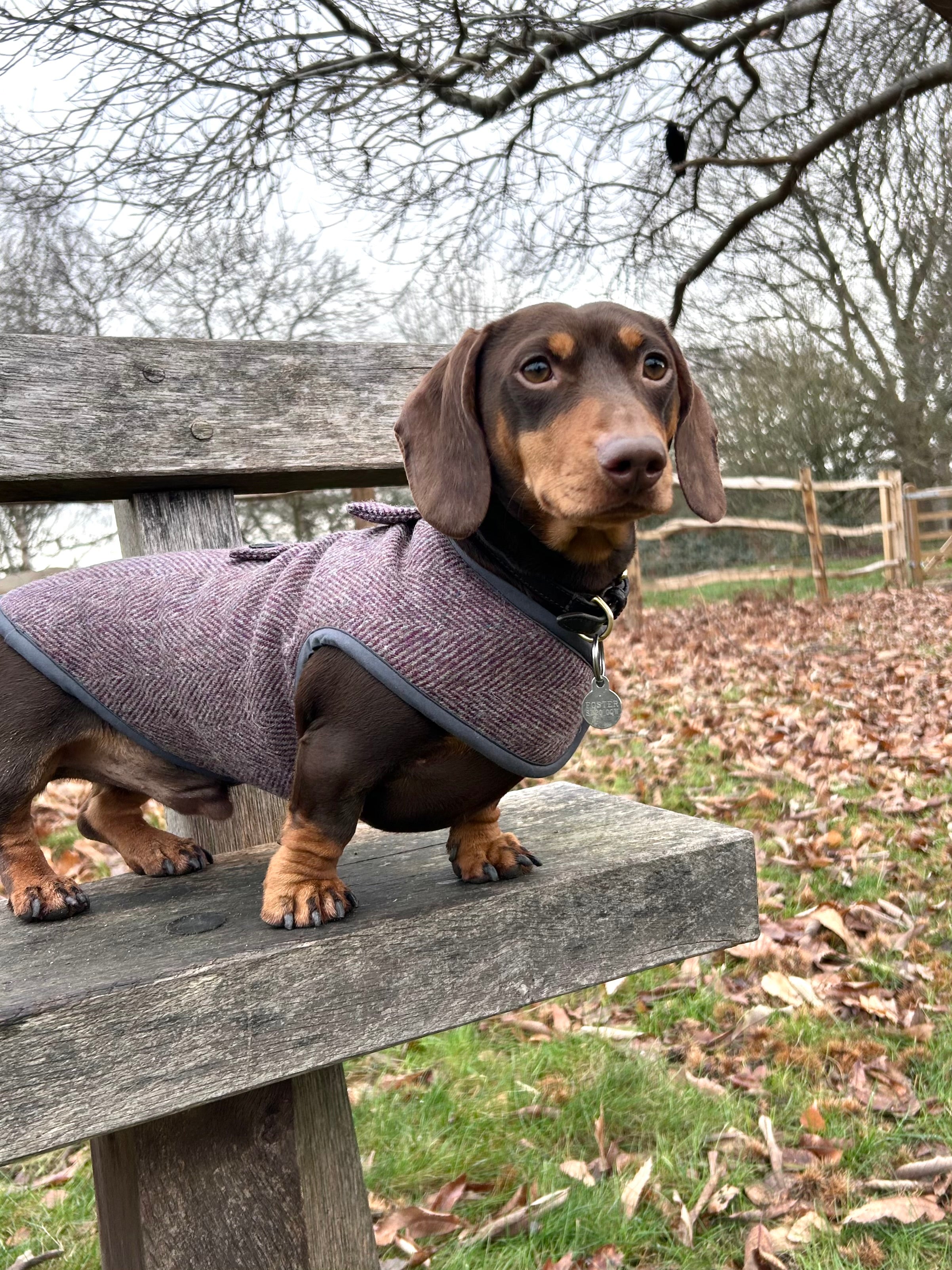 Purple Herringbone Tweed coat