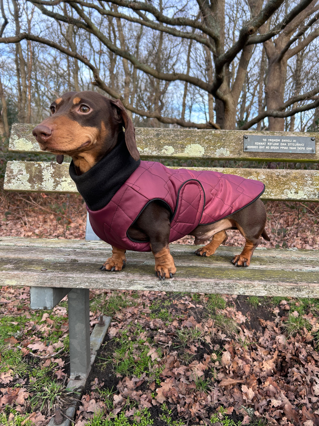 Waterproof full-body coat | Raspberry