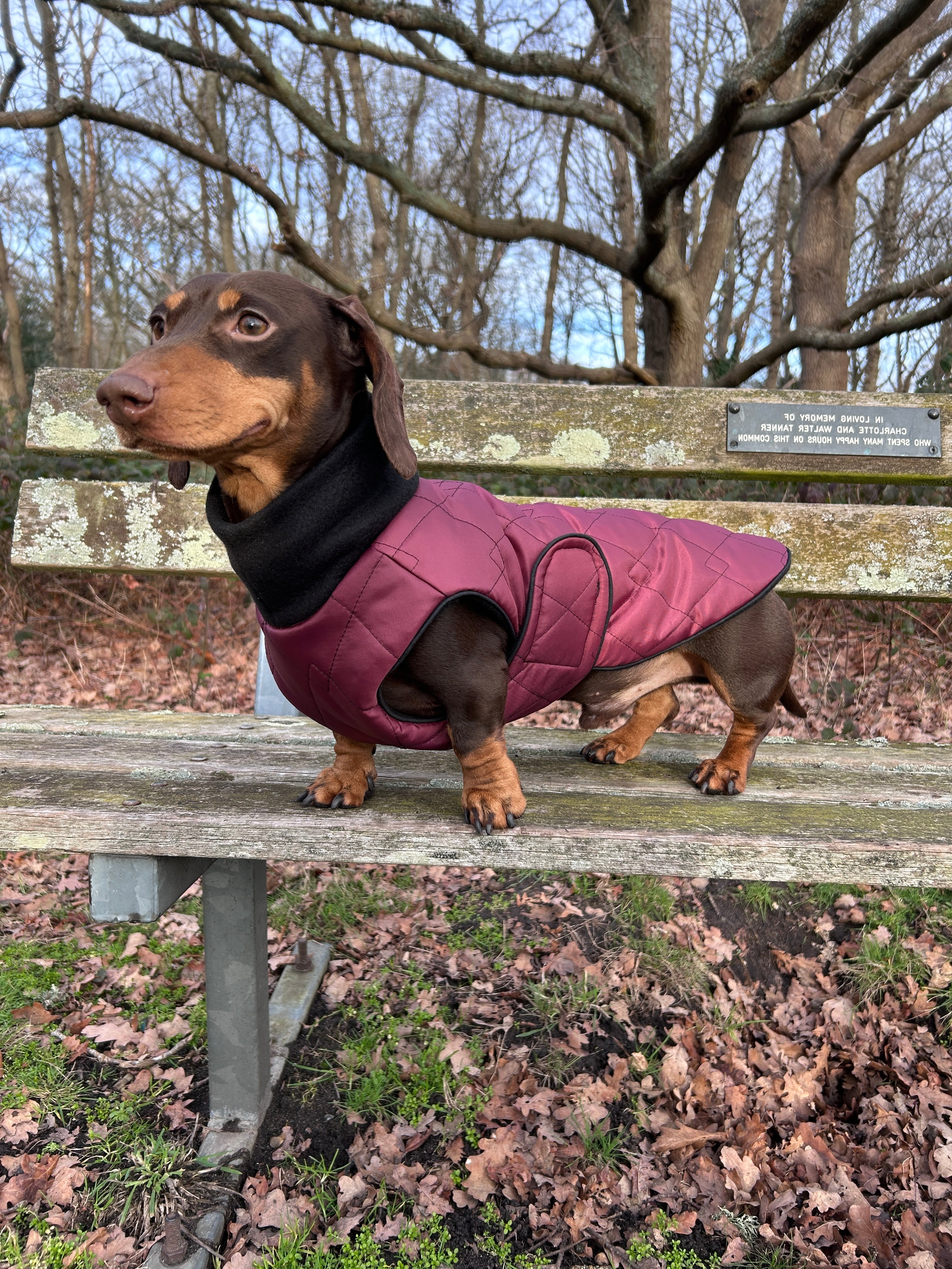 Waterproof full-body coat | Raspberry