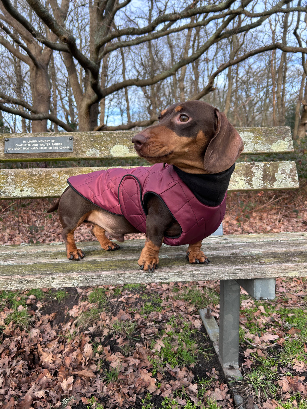 Waterproof full-body coat | Raspberry