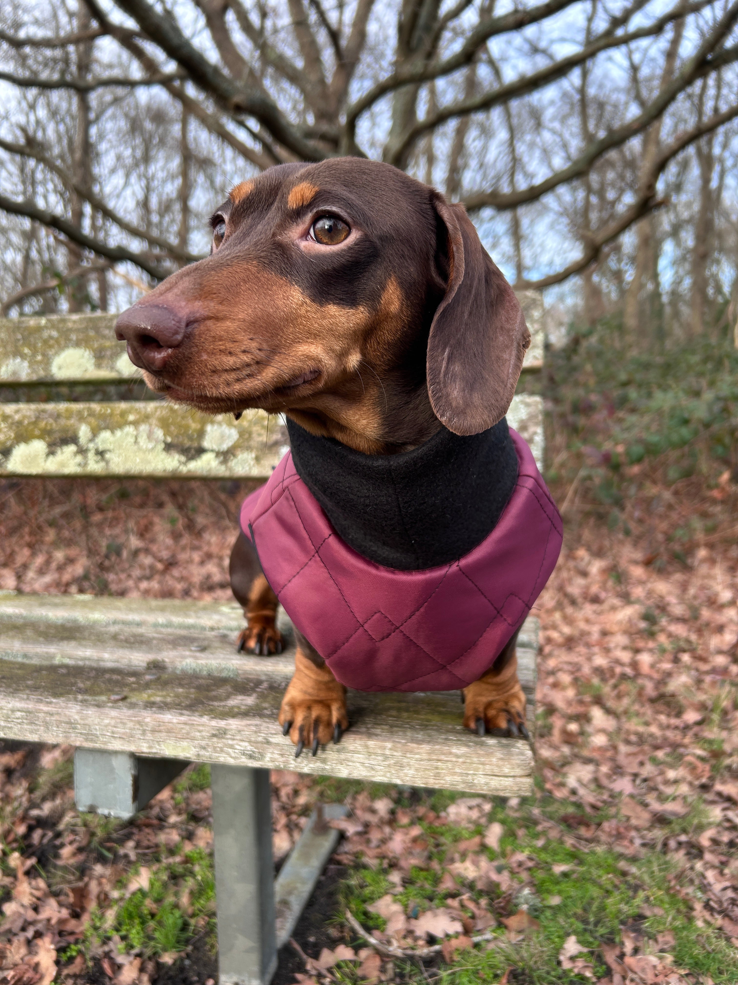 Waterproof full-body coat | Raspberry