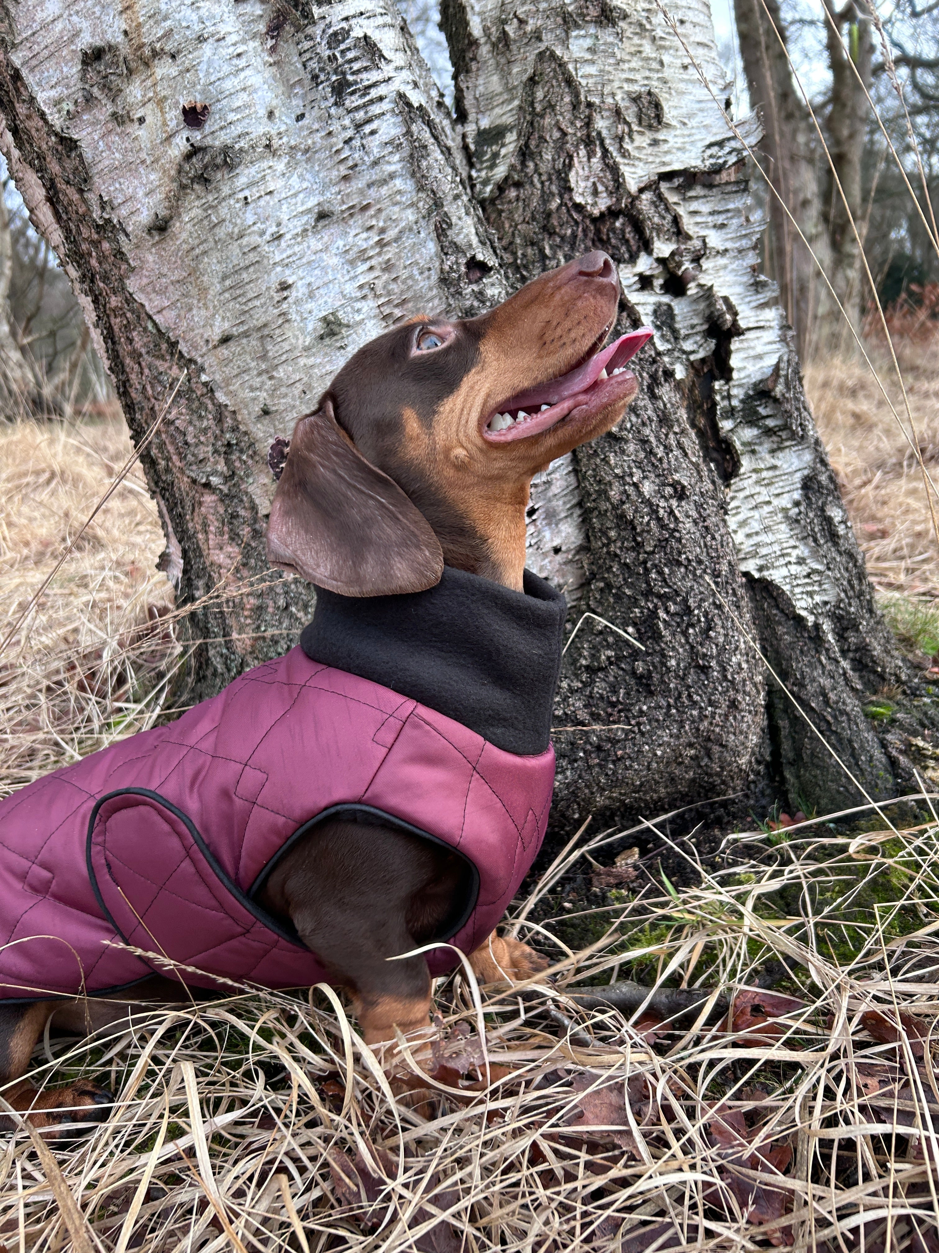 Waterproof full-body coat | Raspberry