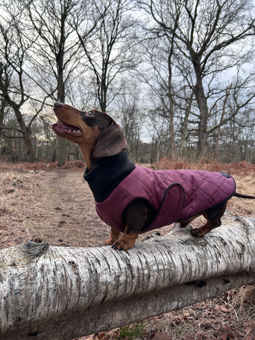 Waterproof full-body coat | Raspberry