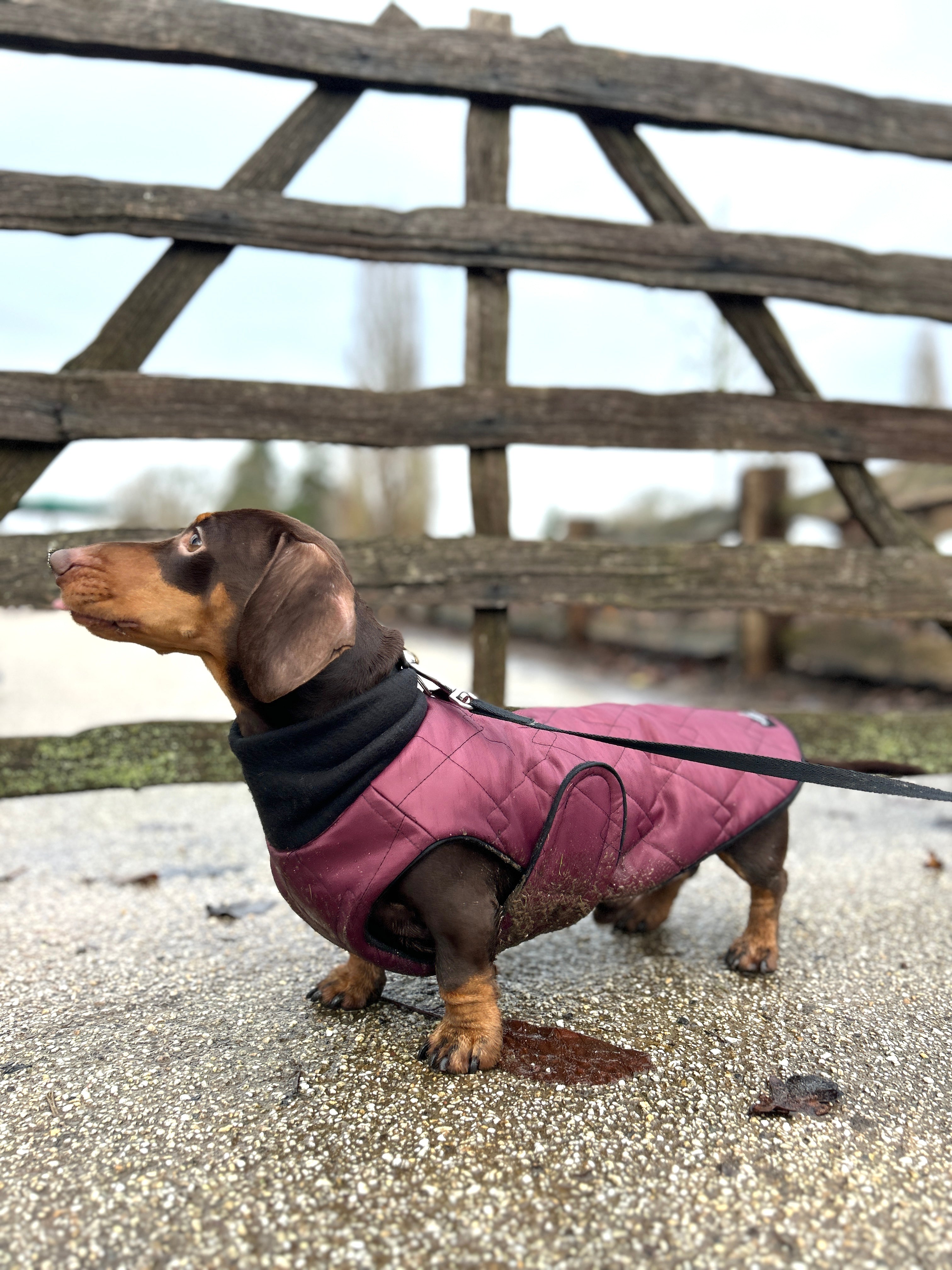 Waterproof full-body coat | Raspberry