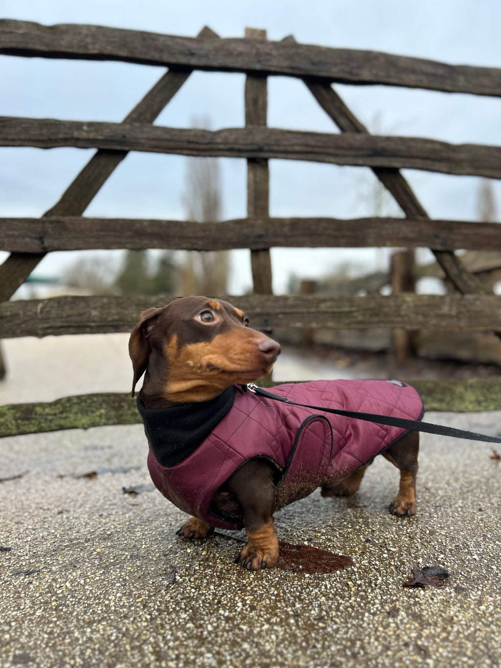 Waterproof full-body coat | Raspberry