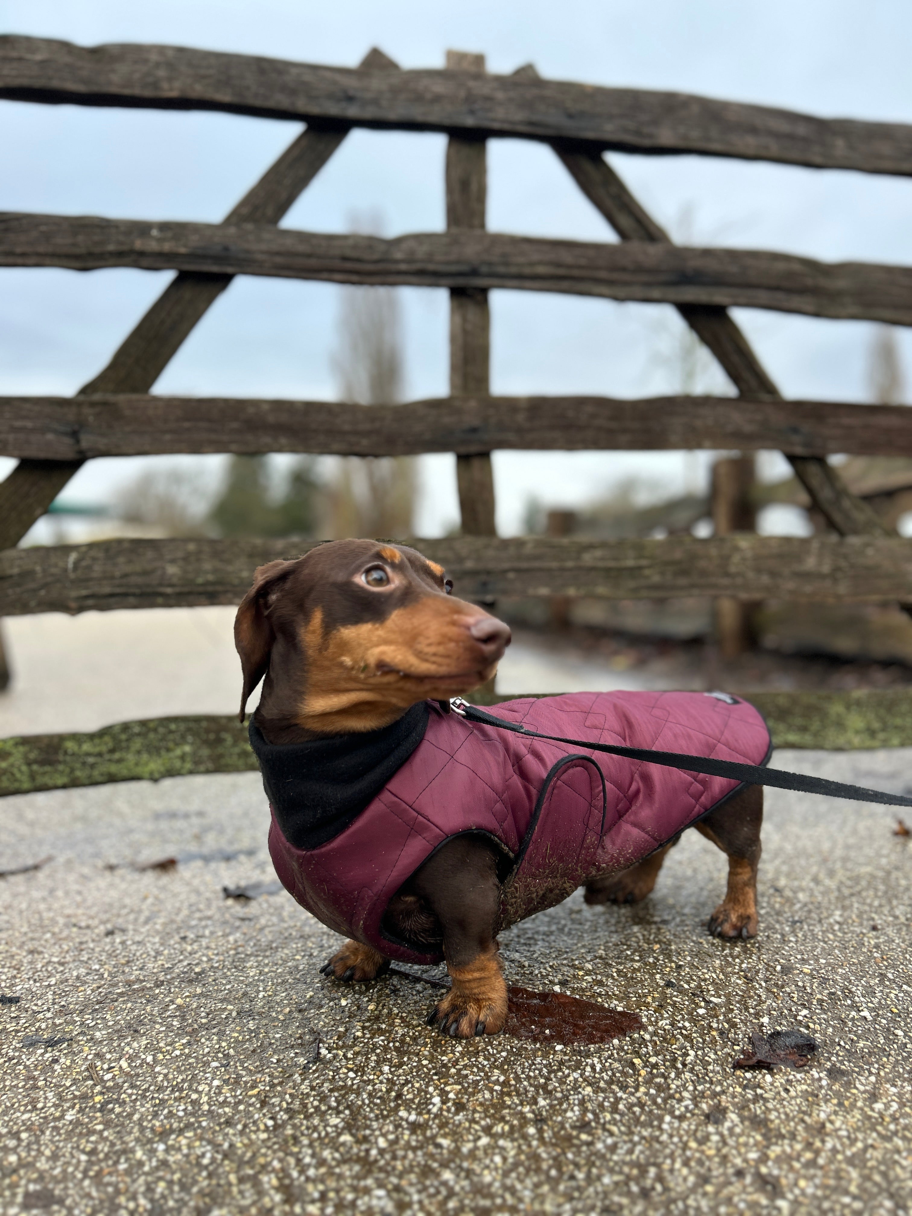 Waterproof full-body coat | Raspberry