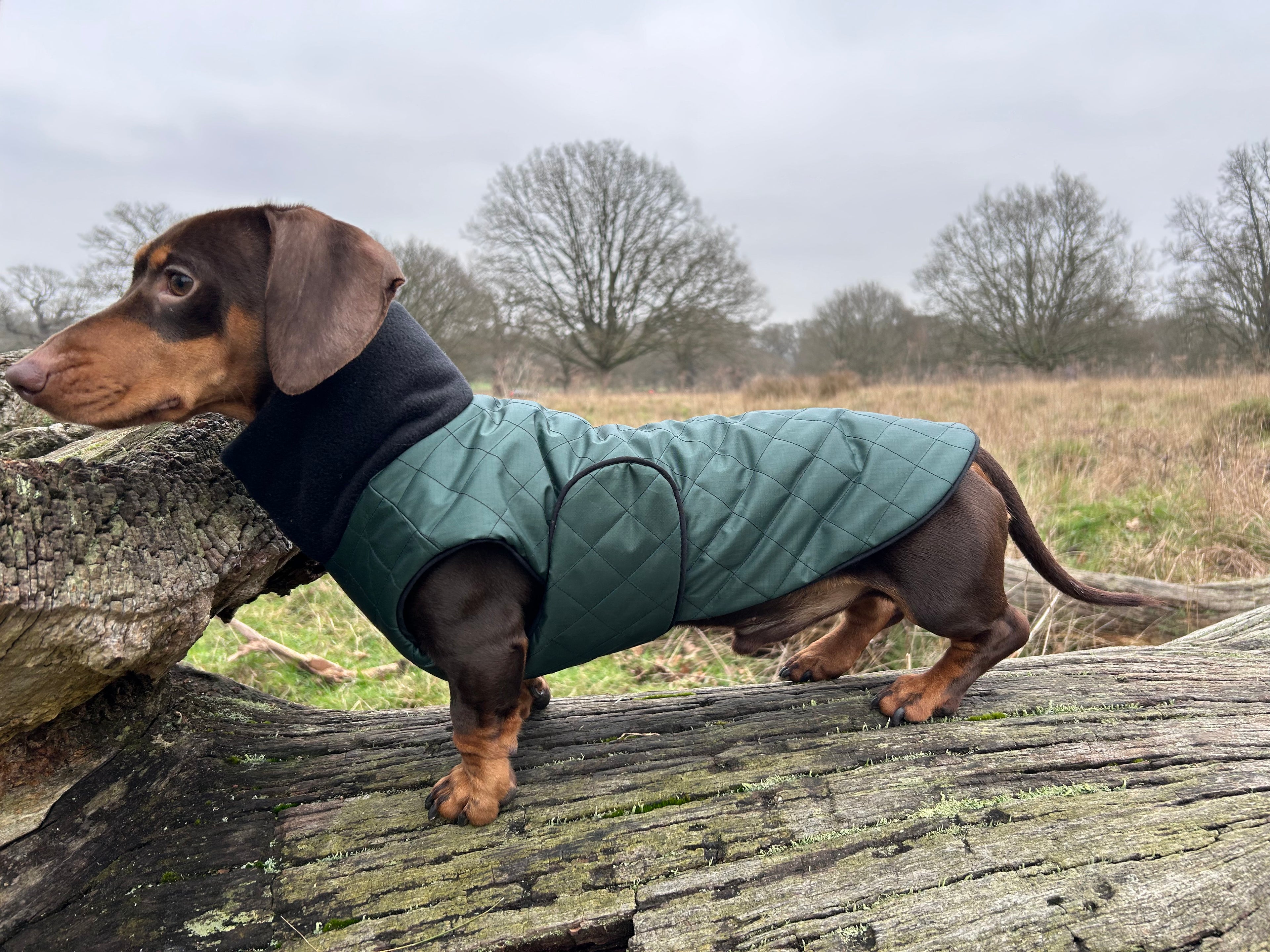 Waterproof Full-body coat | Bottle Green