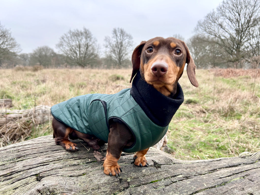 Waterproof Full-body coat | Bottle Green