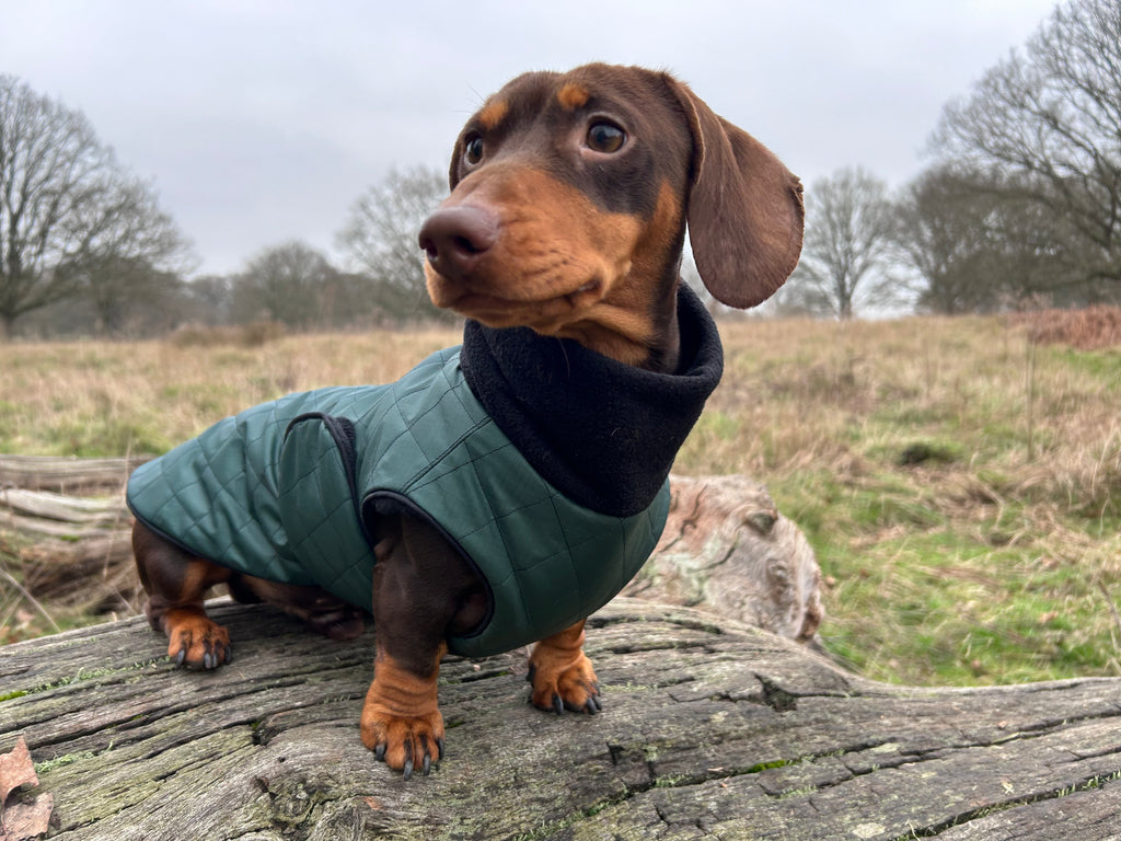 Waterproof Full-body coat | Bottle Green
