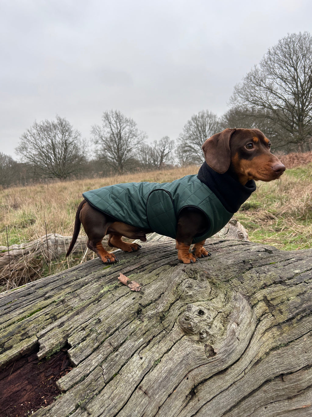 Waterproof Full-body coat | Bottle Green