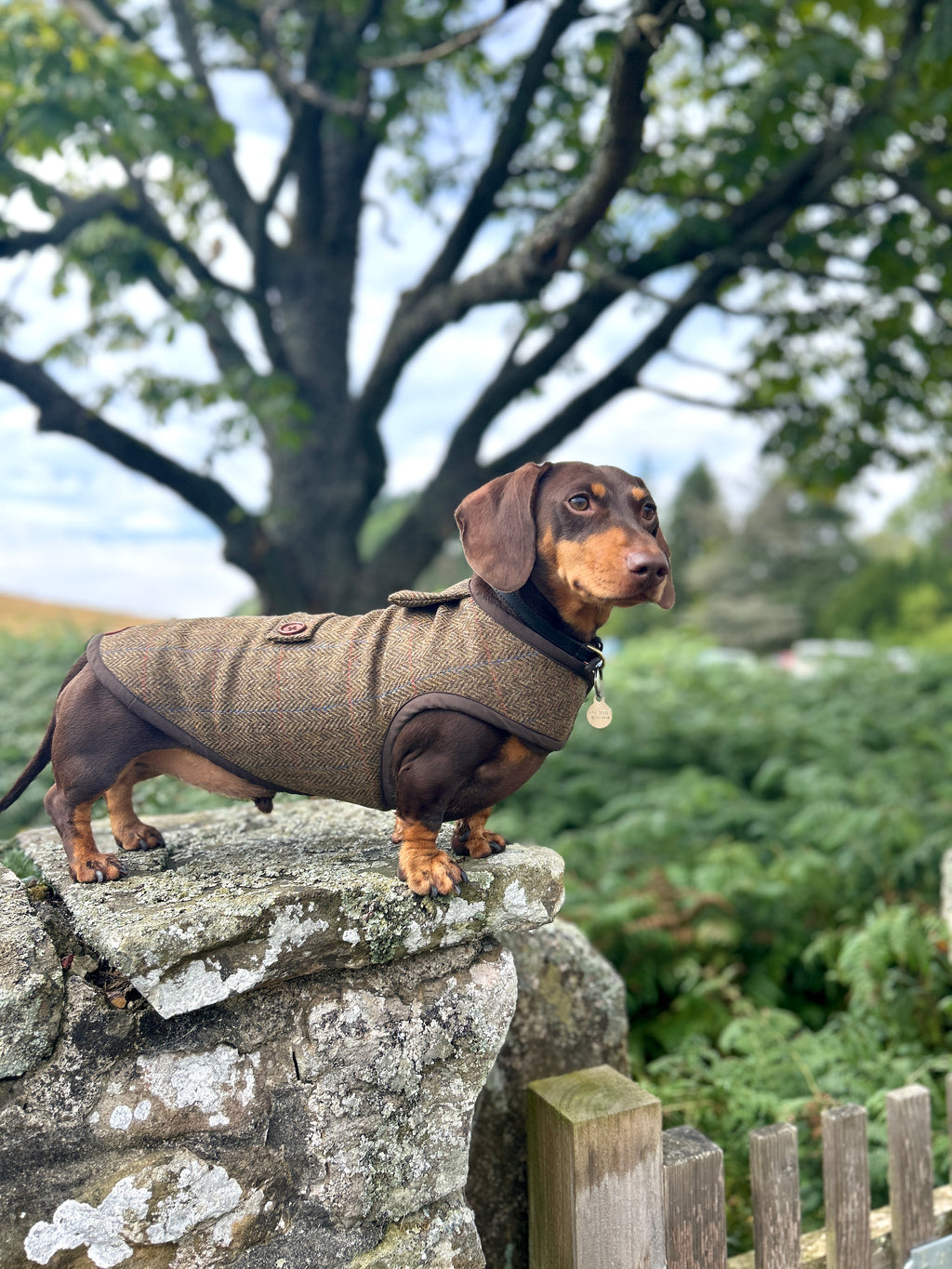 Country Herringbone Tweed Coat - Autumn '26 Collection