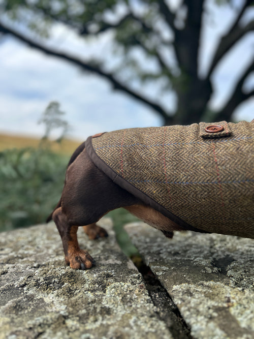 Country Herringbone Tweed Coat - Autumn '26 Collection