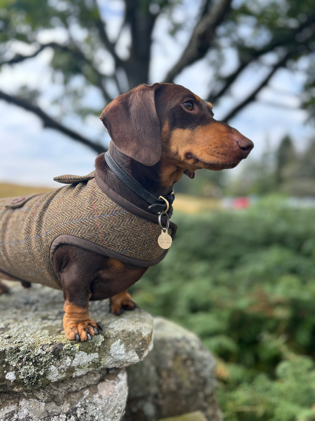 Country Herringbone Tweed Coat - Autumn '26 Collection