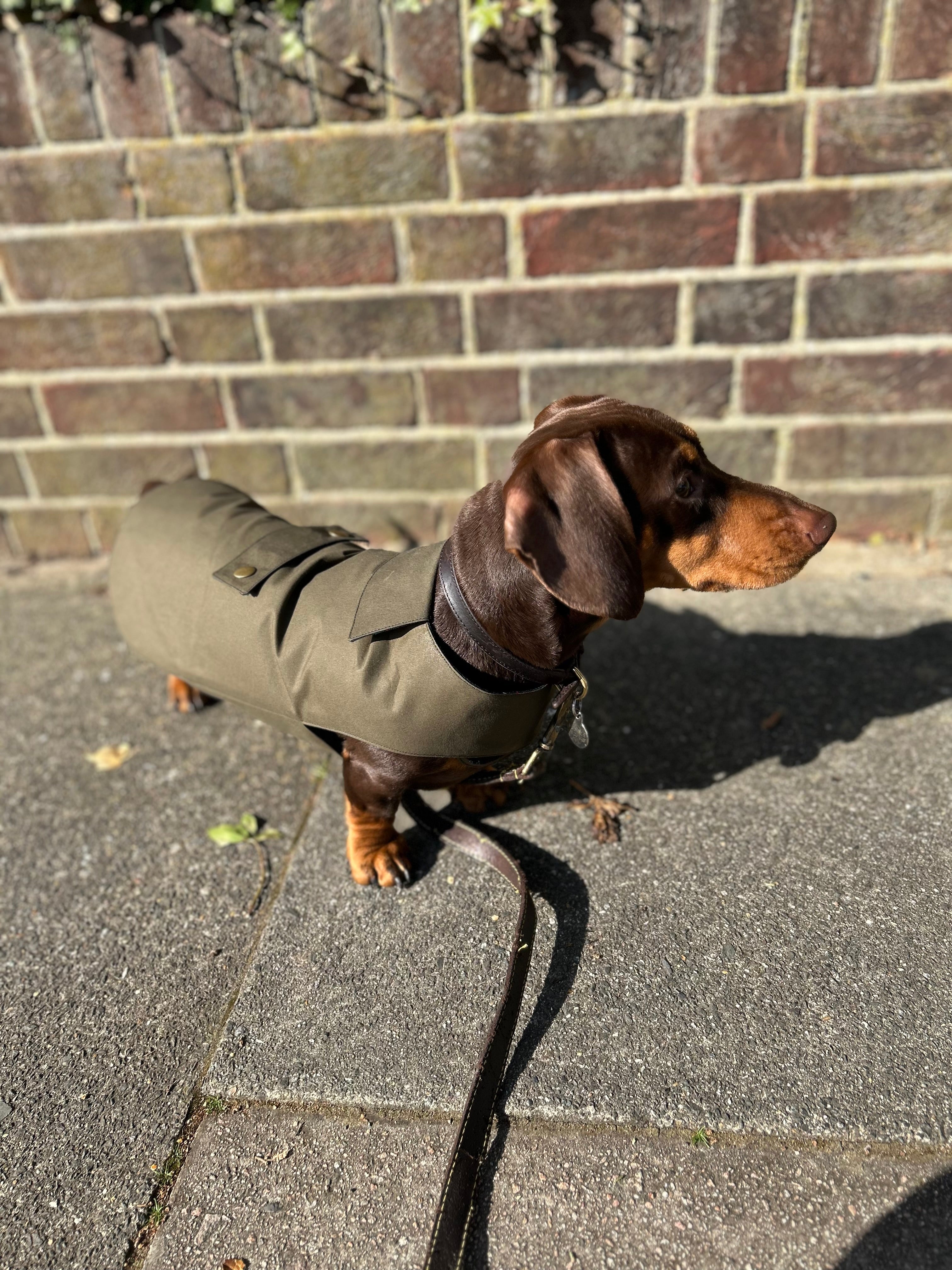 Classic wax raincoat - khaki