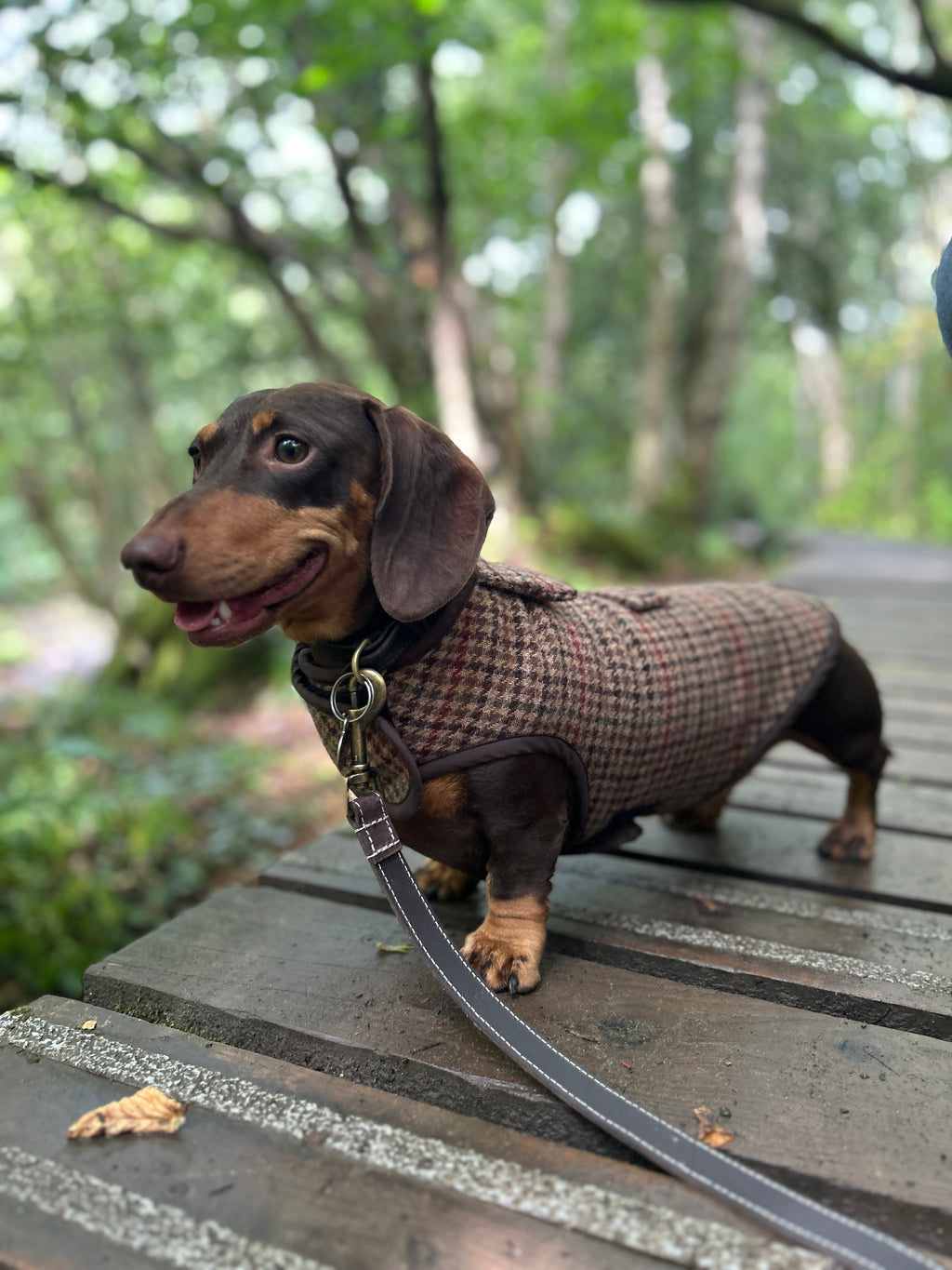 Houndstooth checked tweed Coat - Autumn '26 Collection