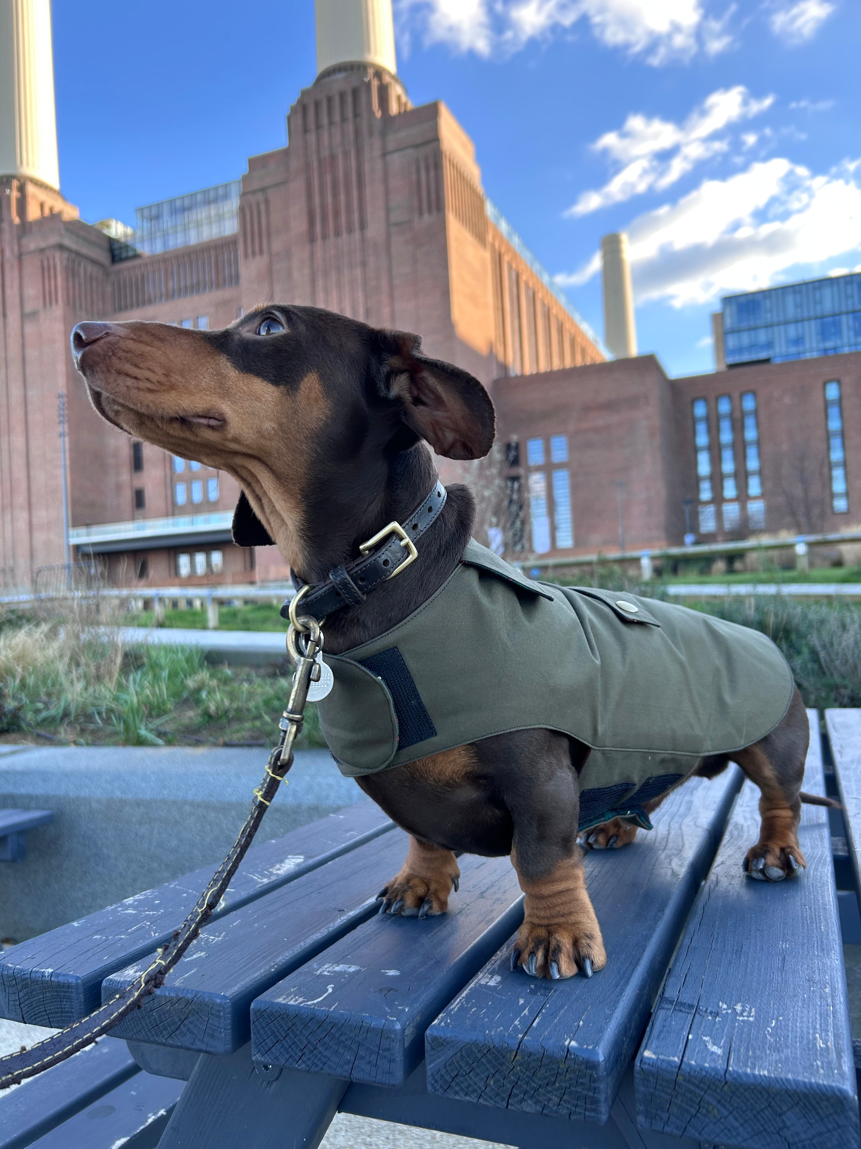 Classic wax raincoat - khaki